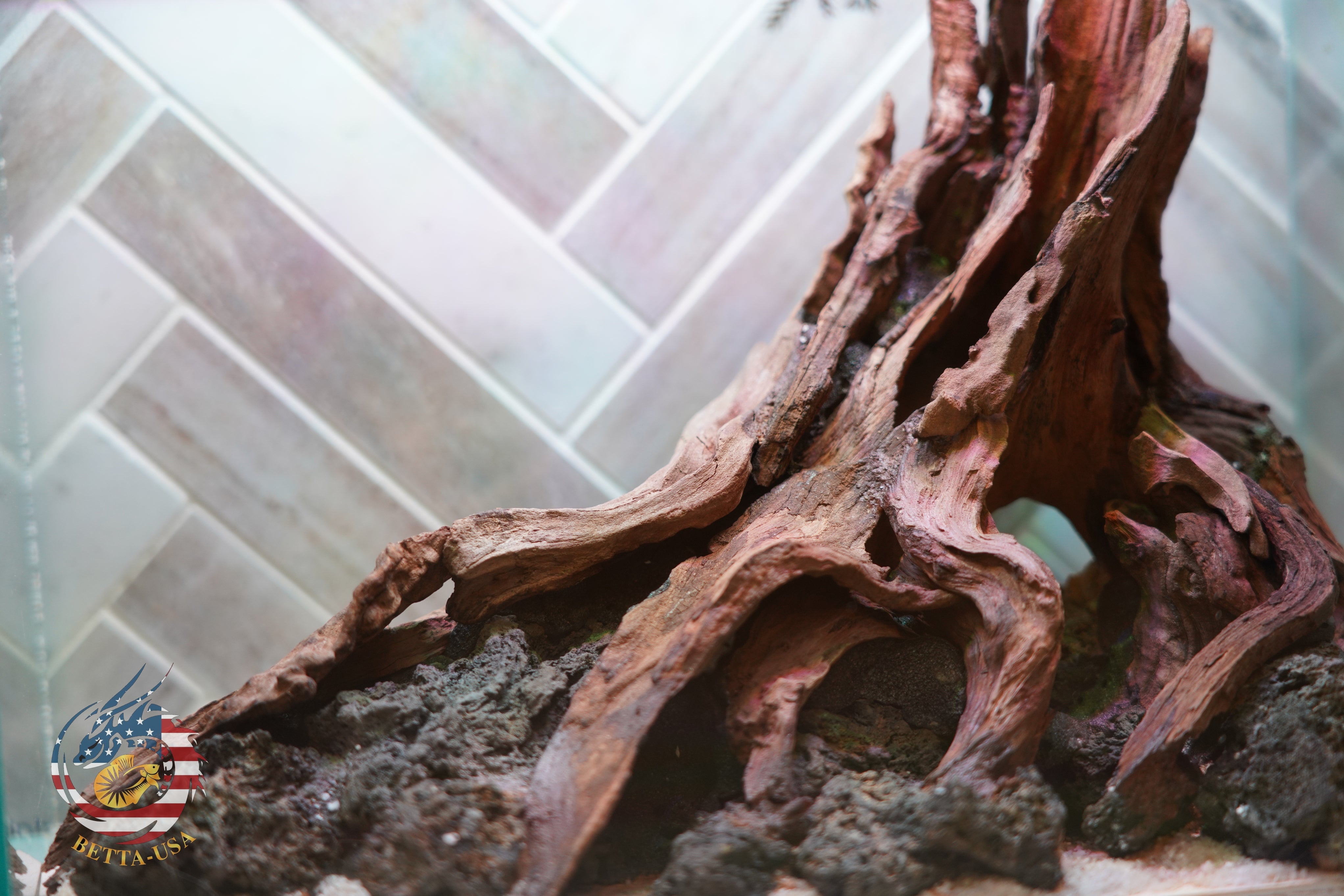 [SCAPE-94]  Nature Aquarium Aquascape Driftwood– 2.7 Gallons