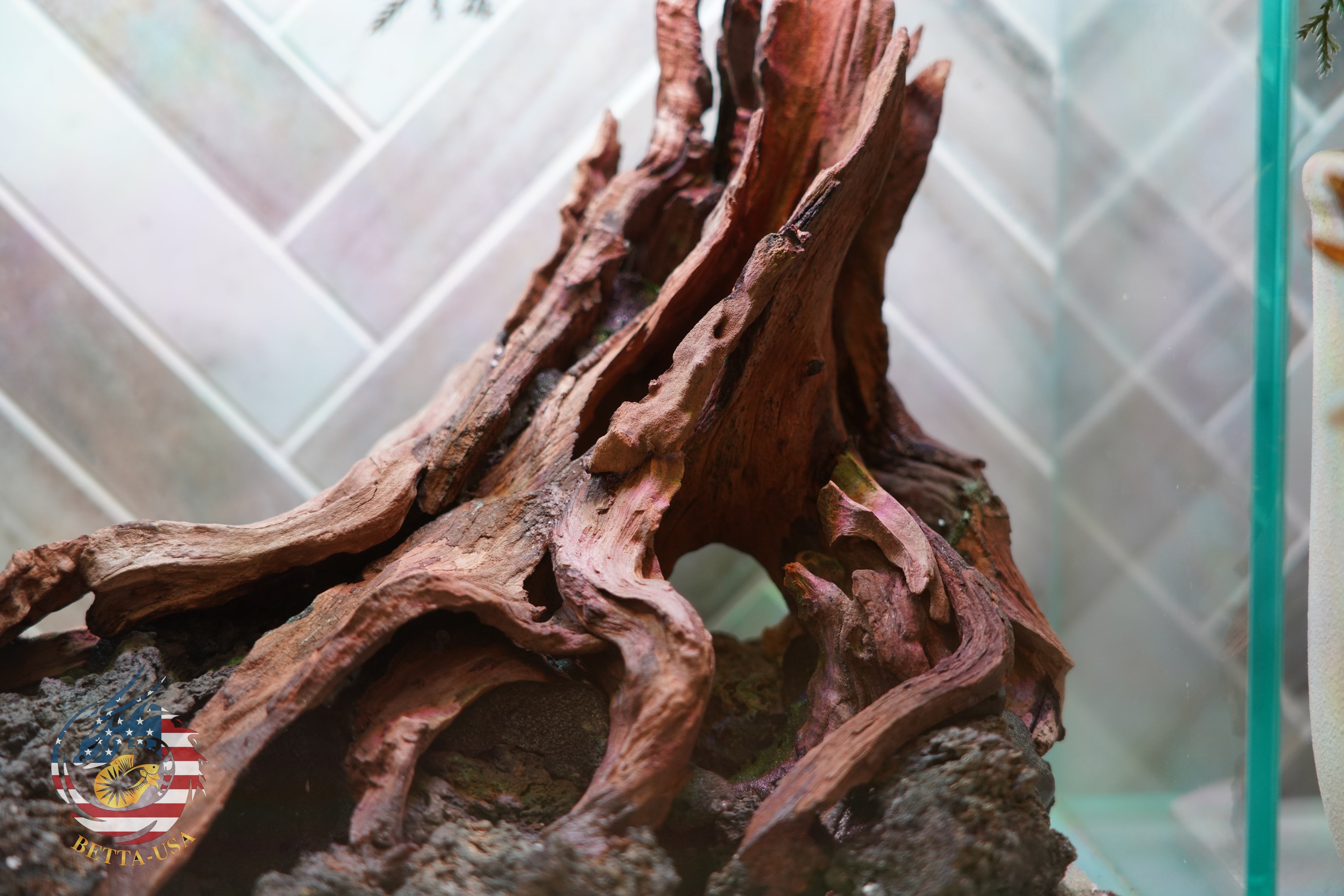 [SCAPE-94]  Nature Aquarium Aquascape Driftwood– 2.7 Gallons