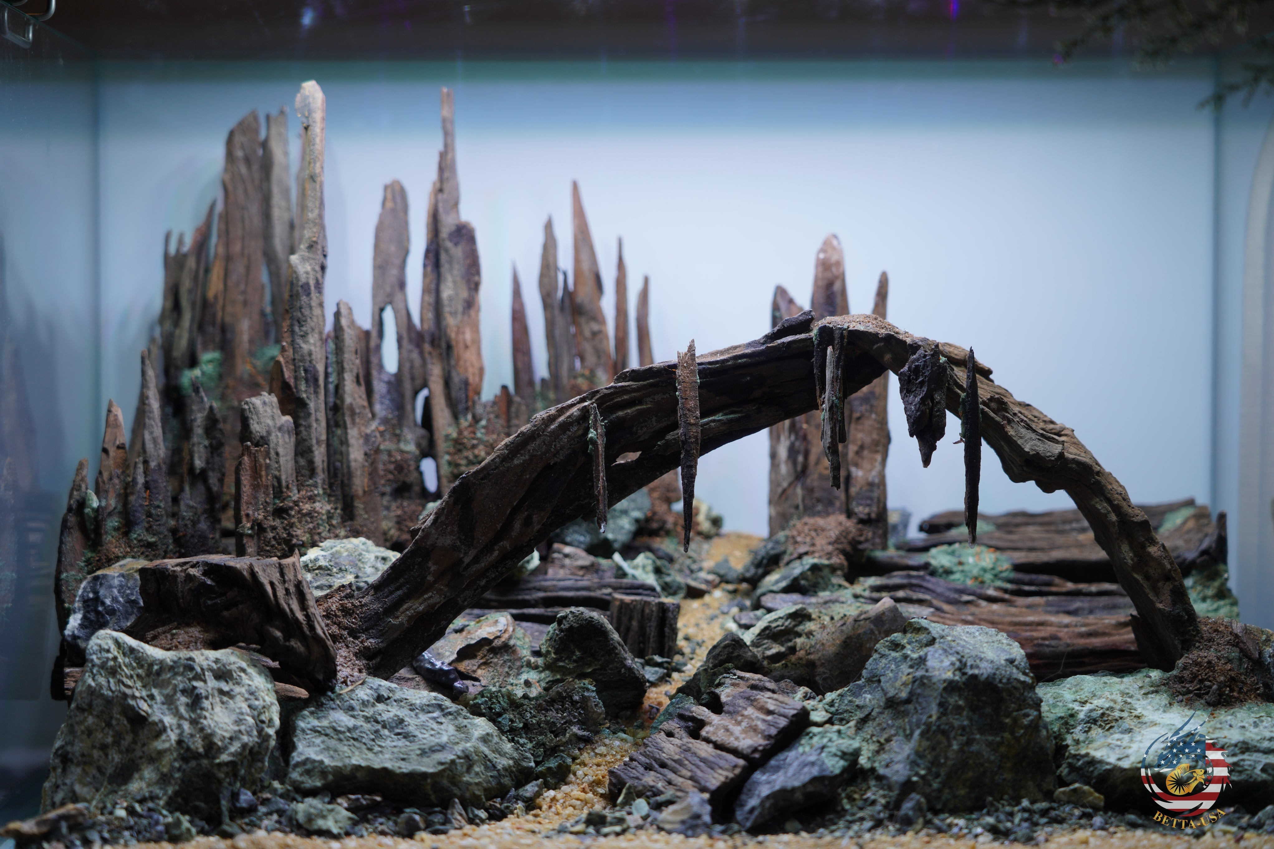 [SCAPE-97]  Nature Aquarium Aquascape Driftwood– 9.3 Gallons