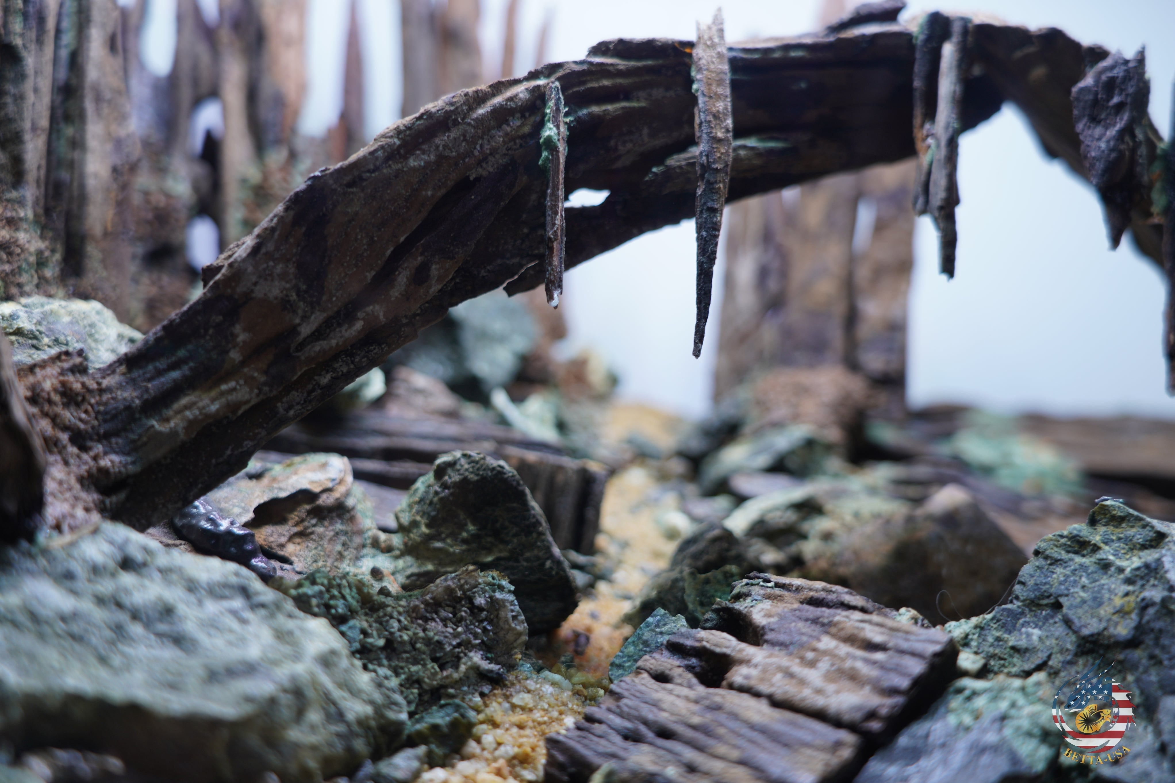 [SCAPE-97]  Nature Aquarium Aquascape Driftwood– 9.3 Gallons