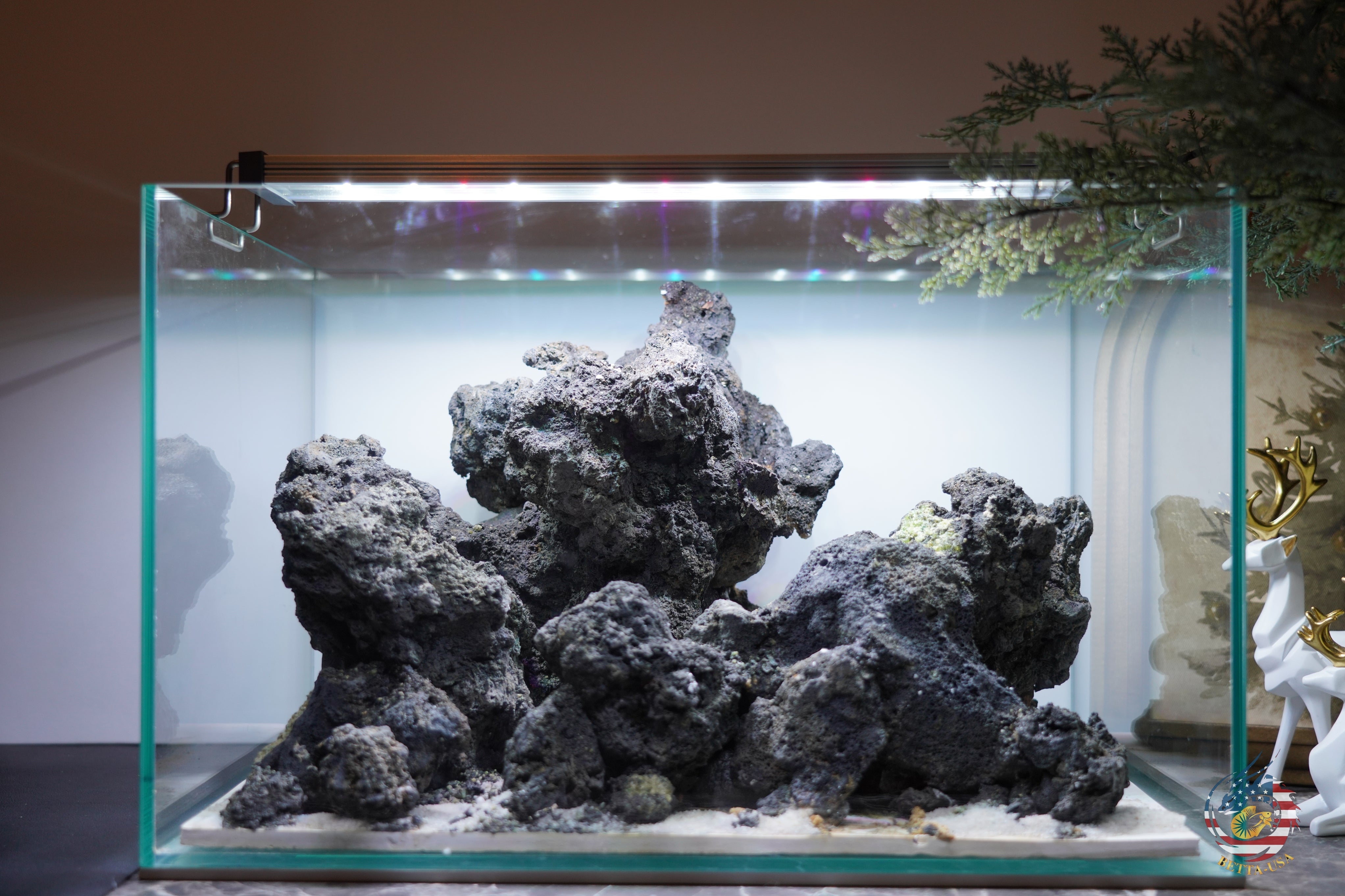 [SCAPE-98]  Mountain-Inspired Aquarium Aquascape – 9.3 Gallons