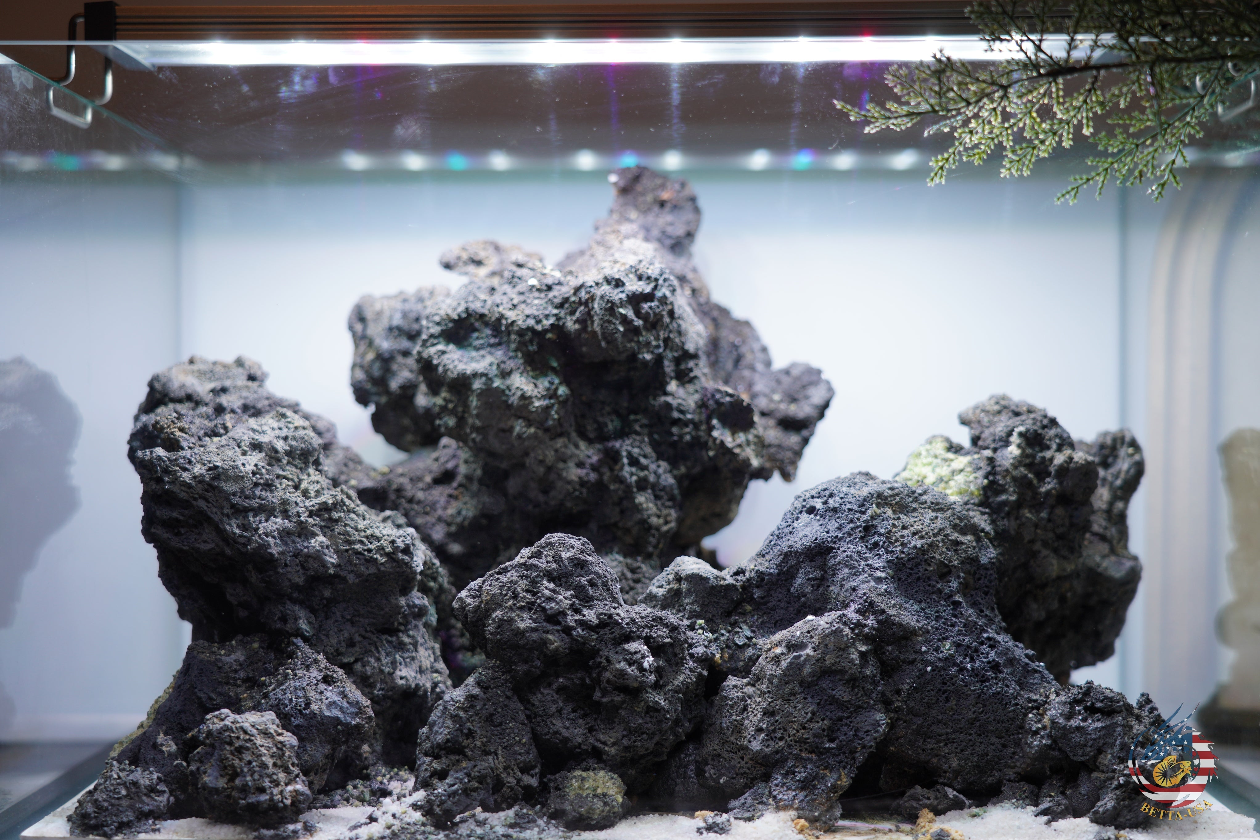 [SCAPE-98]  Mountain-Inspired Aquarium Aquascape – 9.3 Gallons