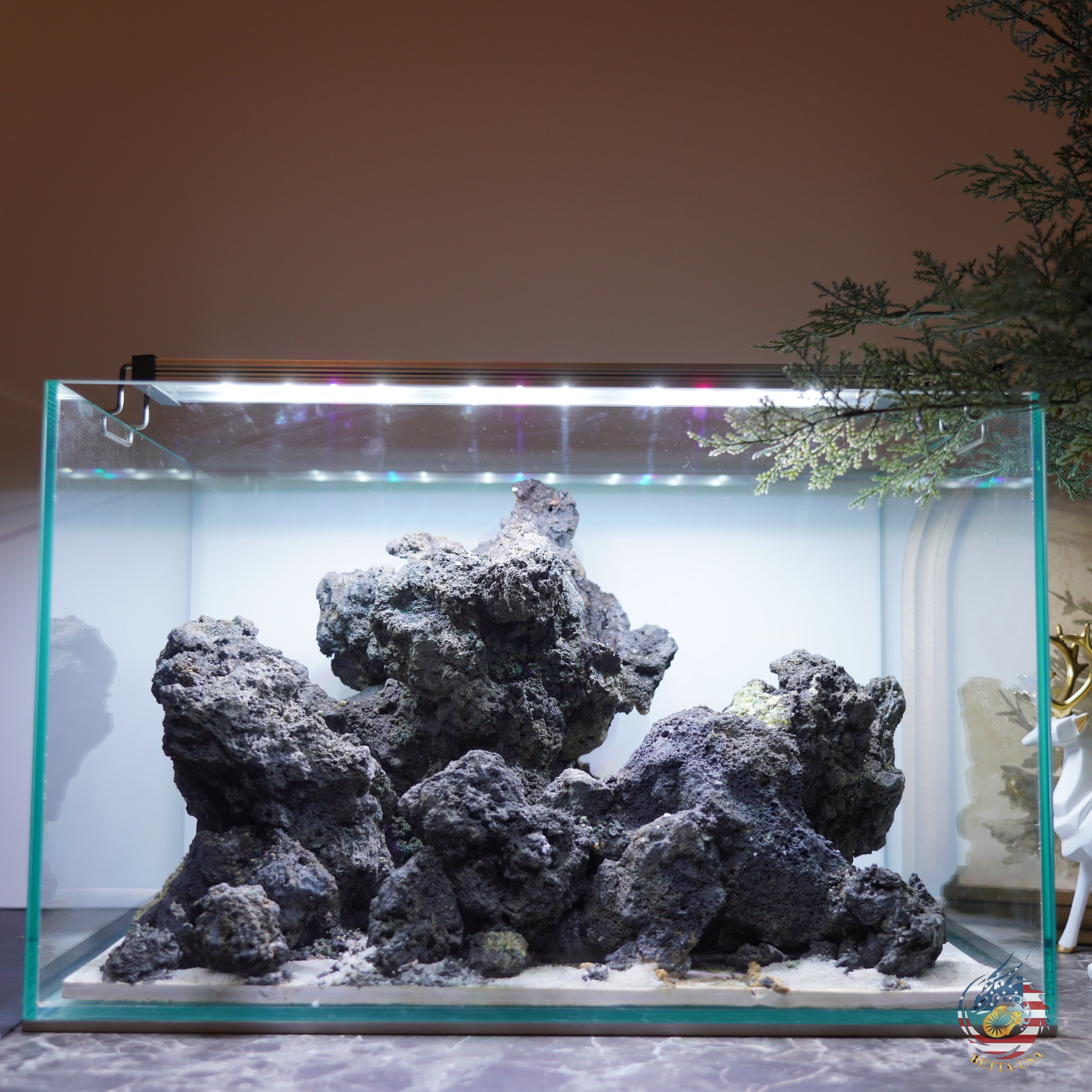 [SCAPE-98]  Mountain-Inspired Aquarium Aquascape – 9.3 Gallons