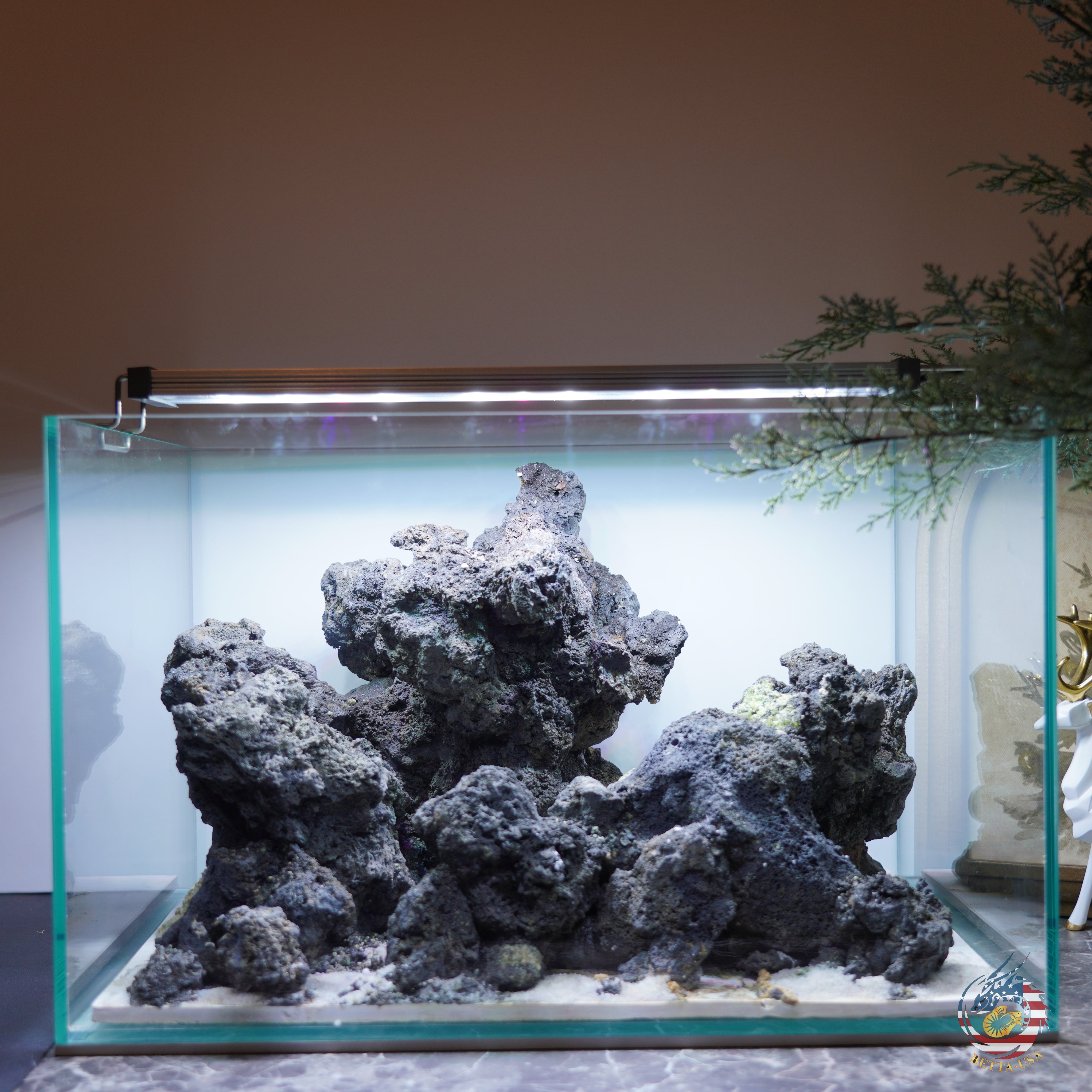 [SCAPE-98]  Mountain-Inspired Aquarium Aquascape – 9.3 Gallons