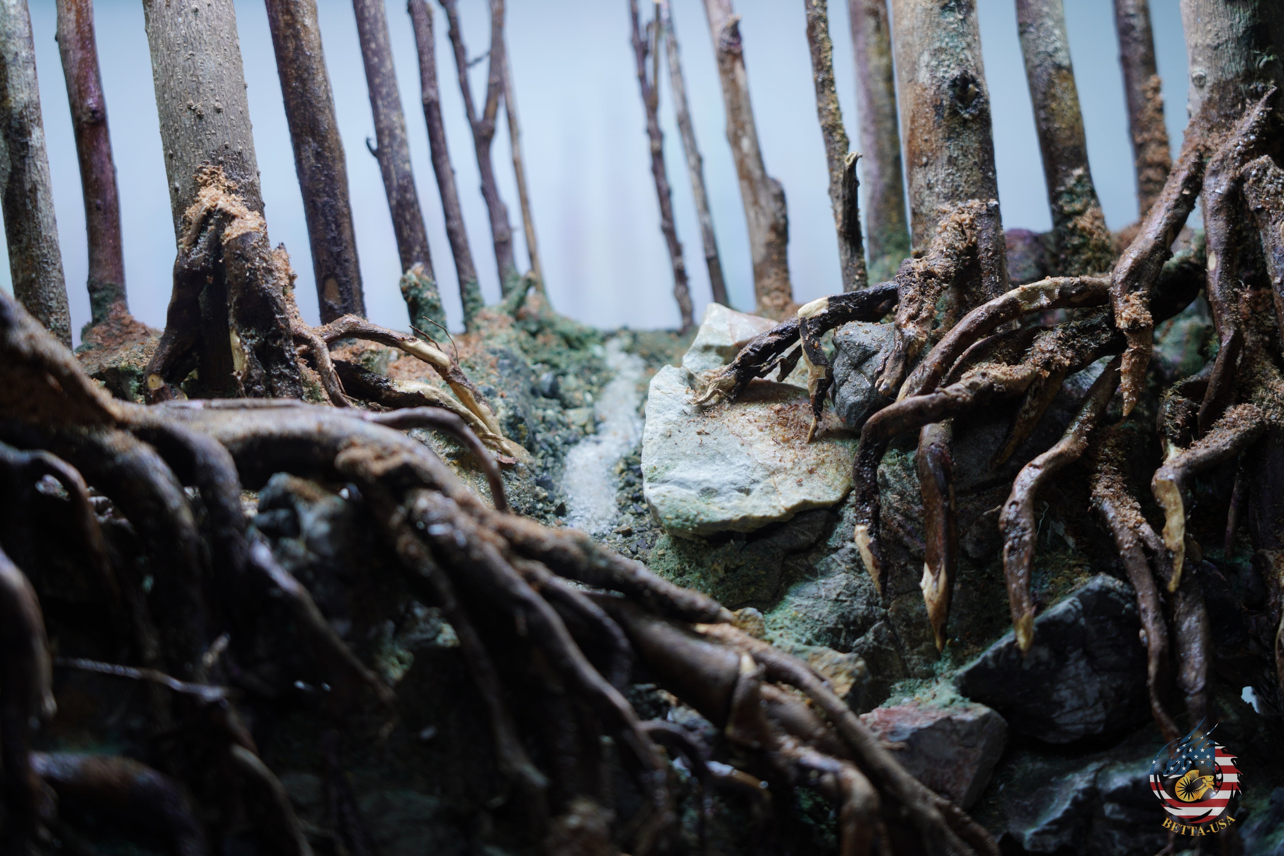 [SCAPE-99]  Nature Aquarium Aquascape Driftwood– 9.3 Gallons