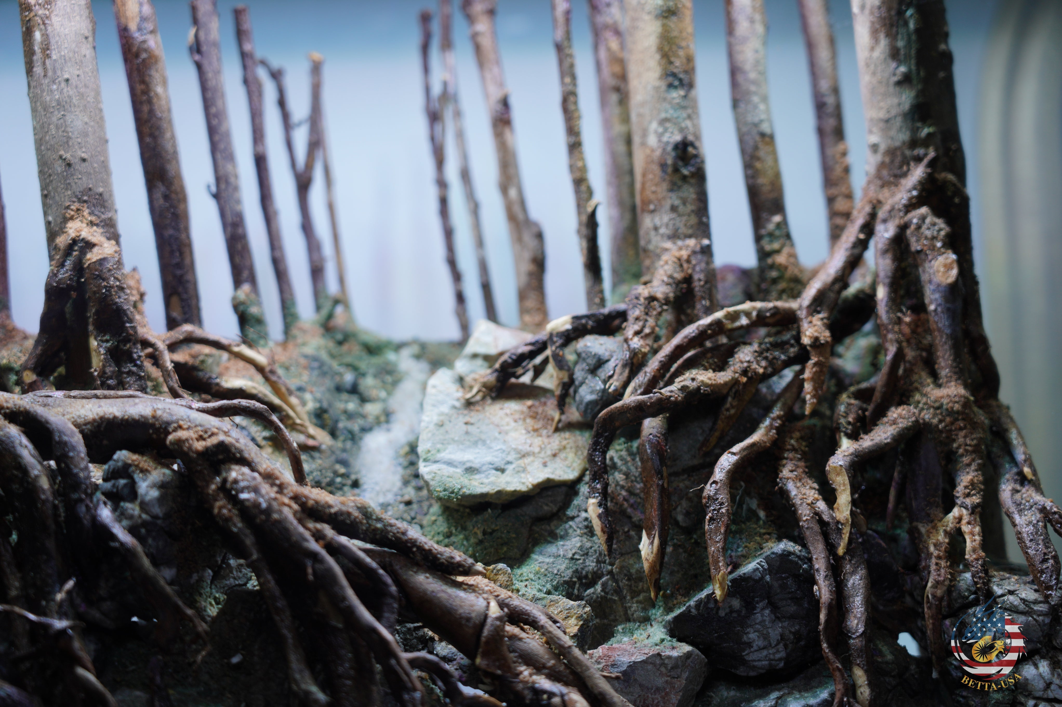 [SCAPE-99]  Nature Aquarium Aquascape Driftwood– 9.3 Gallons