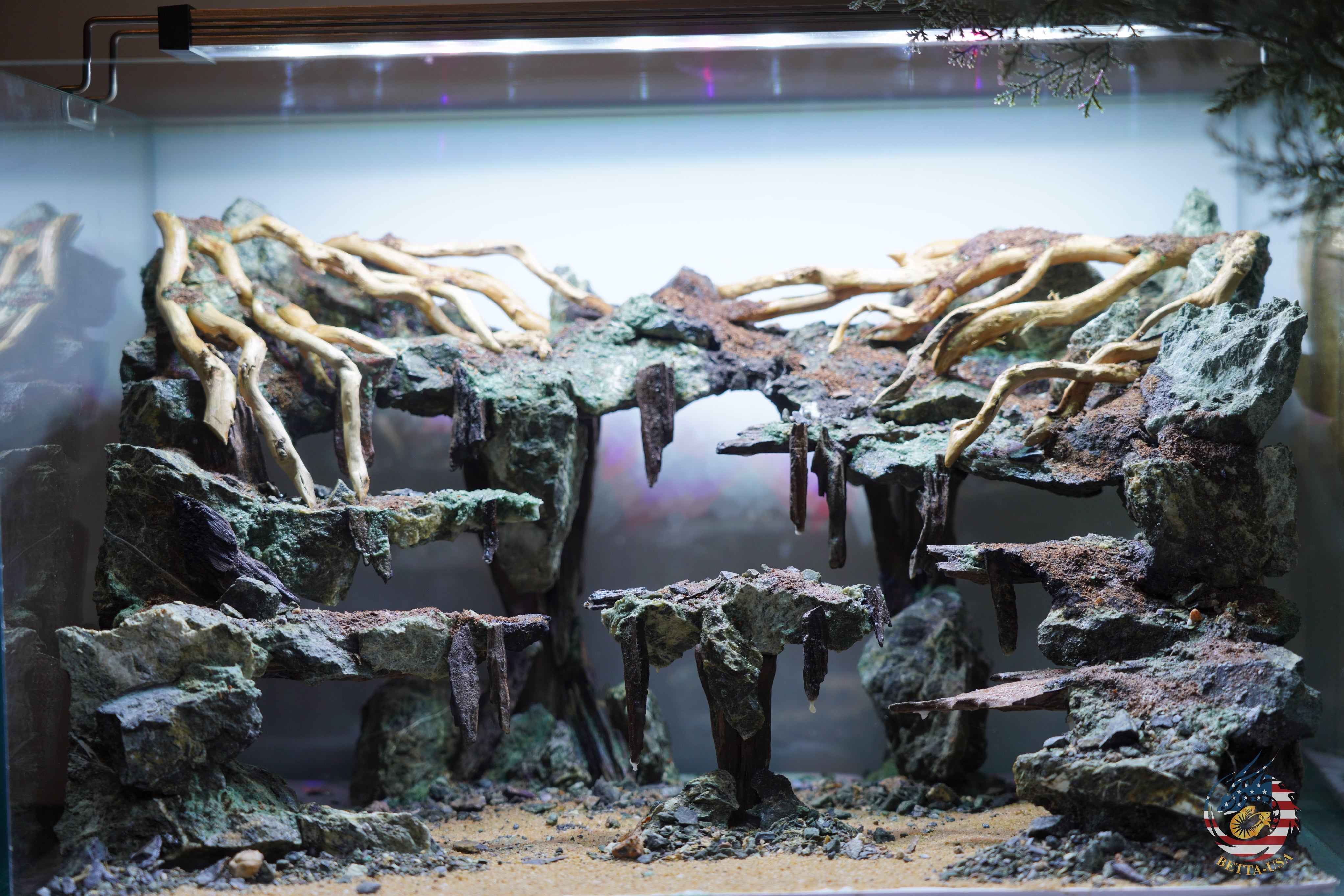 [SCAPE-100]  Nature Aquarium Aquascape Driftwood– 9.3 Gallons