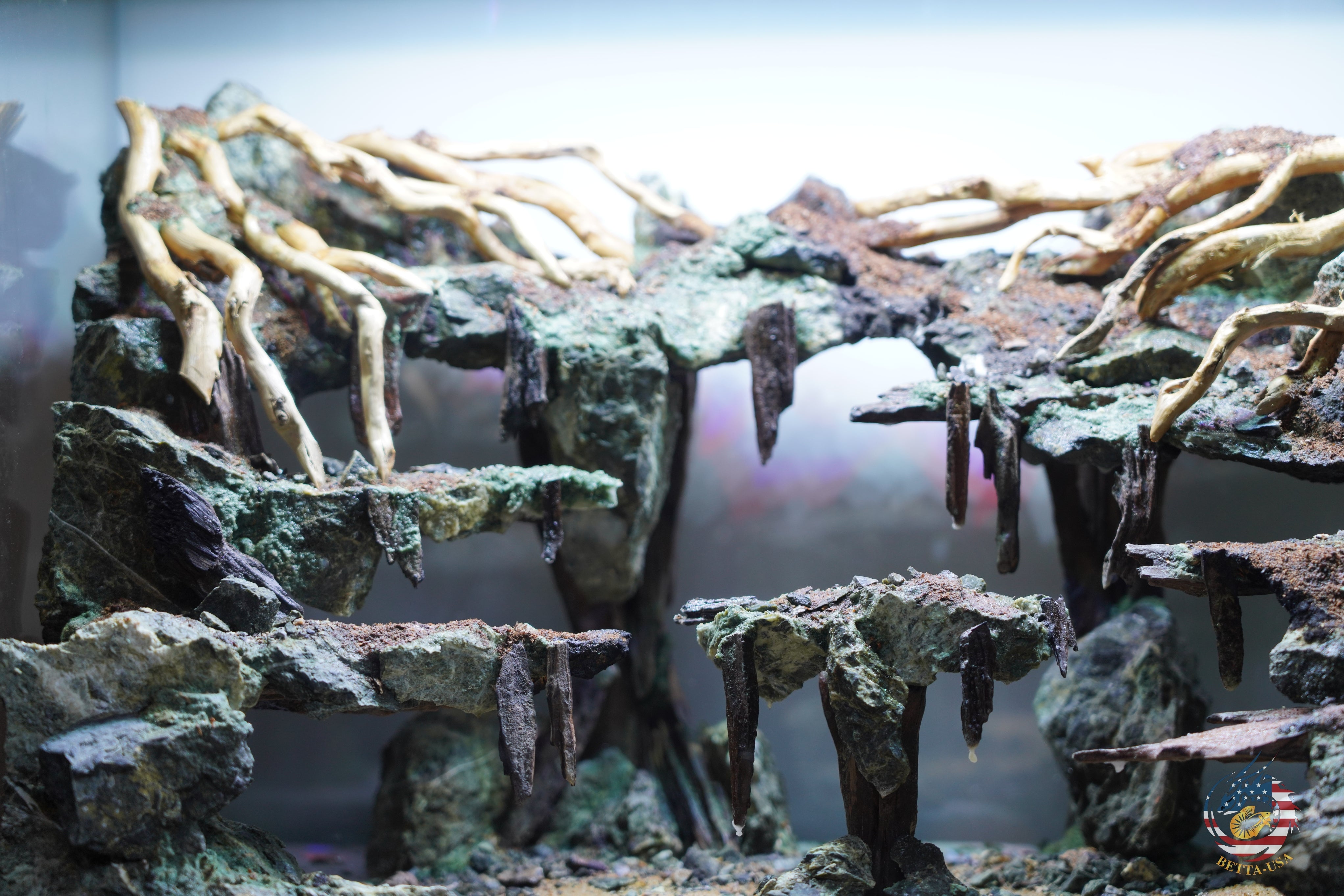 [SCAPE-100]  Nature Aquarium Aquascape Driftwood– 9.3 Gallons