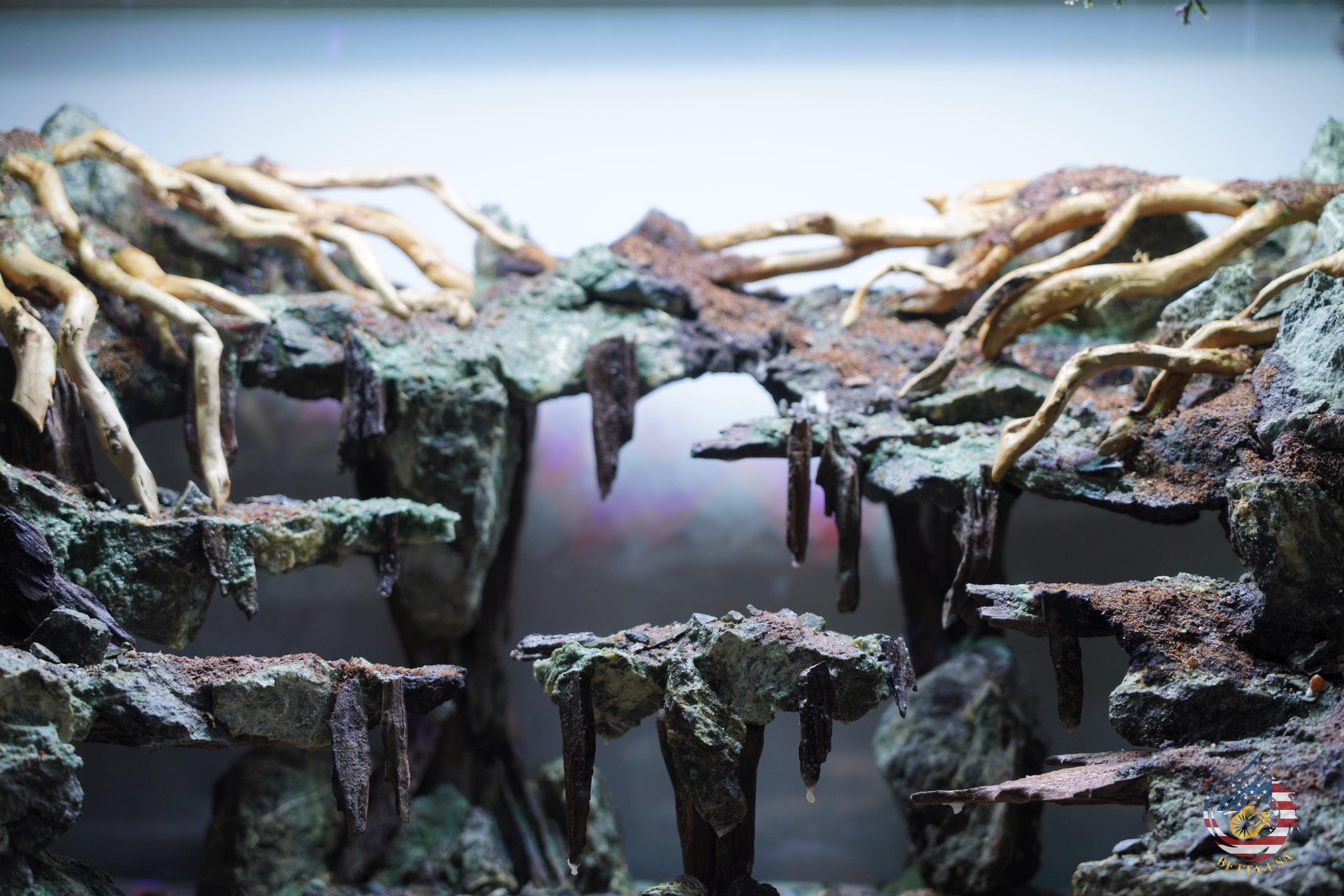 [SCAPE-100]  Nature Aquarium Aquascape Driftwood– 9.3 Gallons