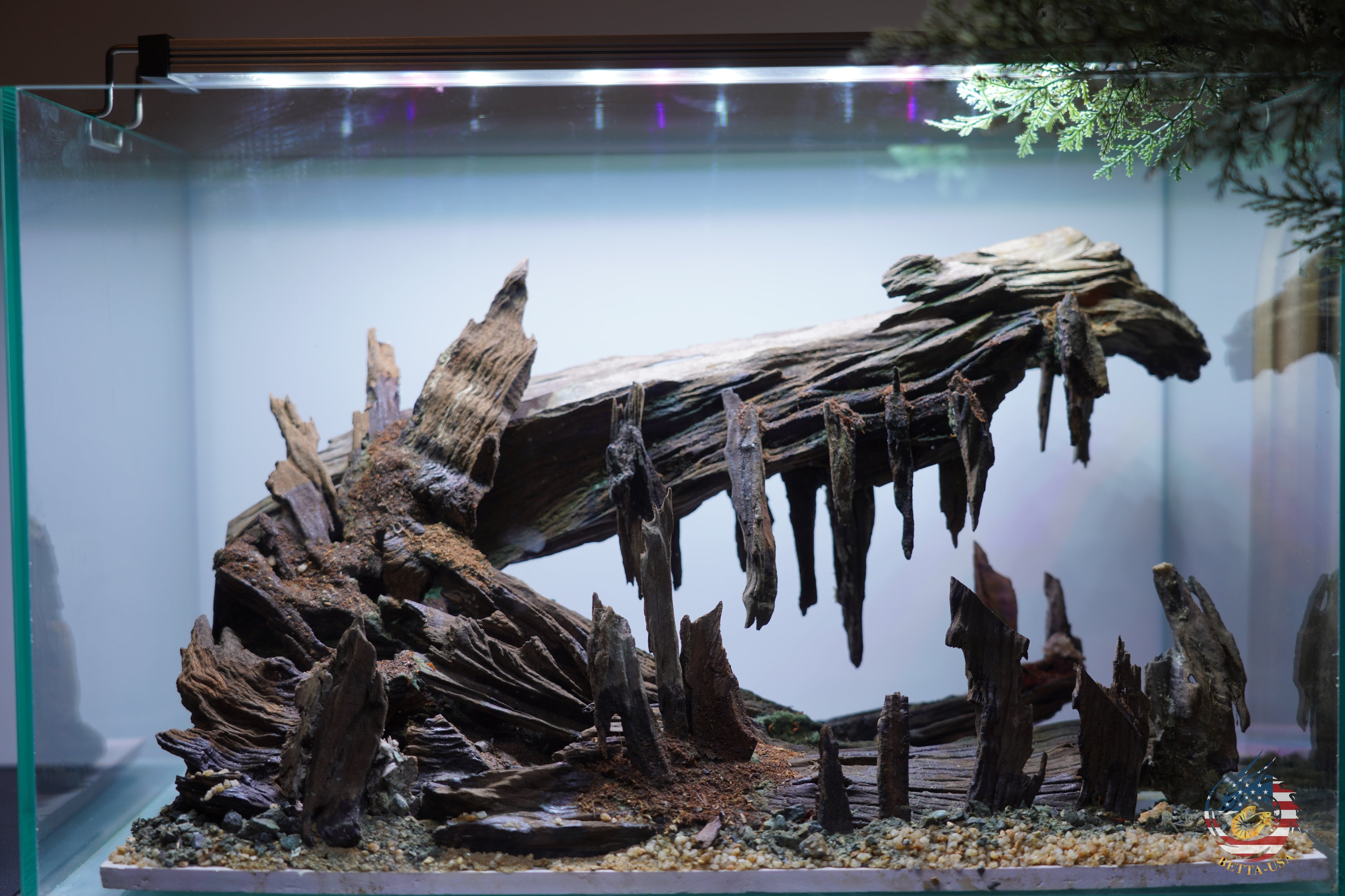 [SCAPE-101]  Nature Aquarium Aquascape Driftwood– 9.3 Gallons