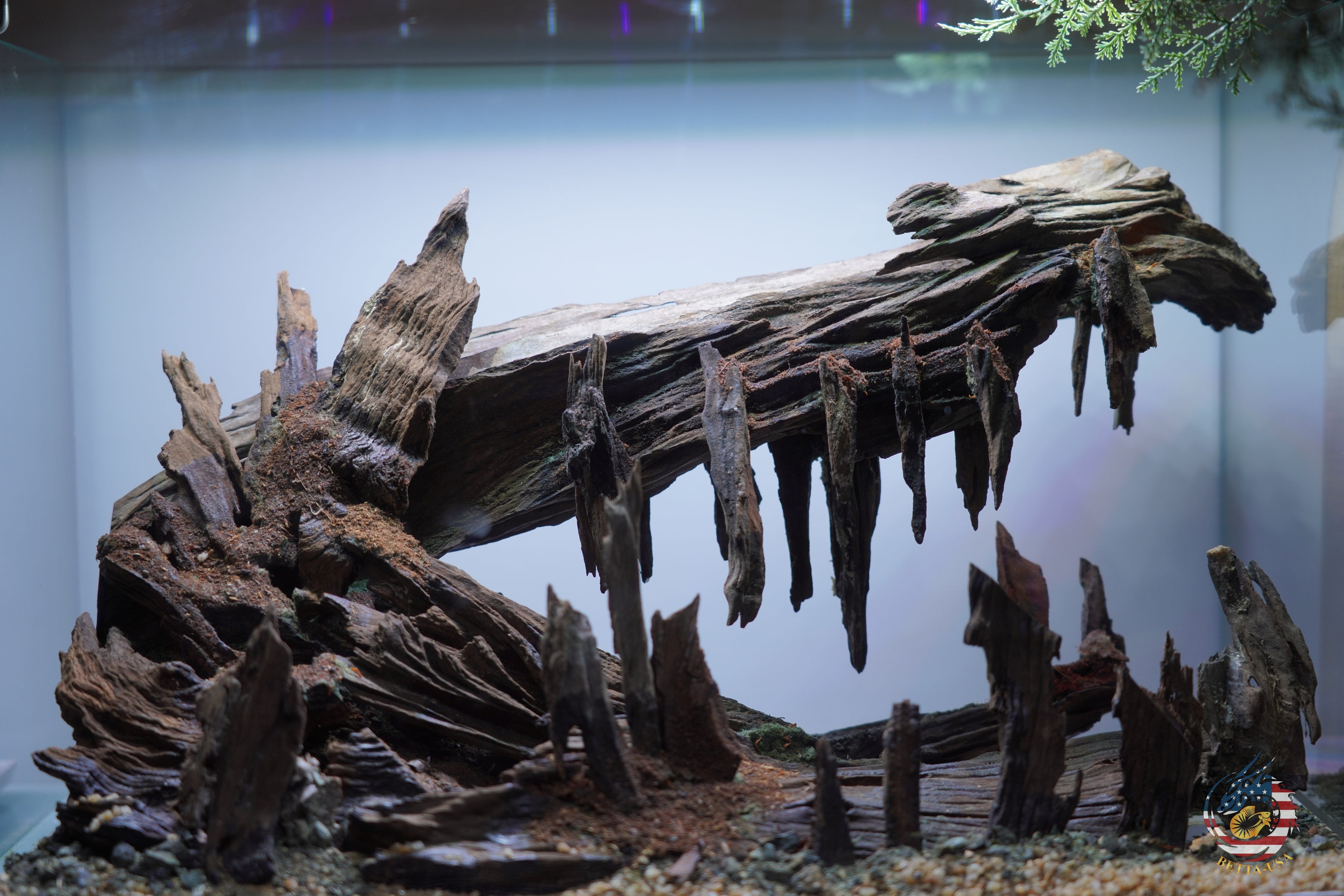 [SCAPE-101]  Nature Aquarium Aquascape Driftwood– 9.3 Gallons
