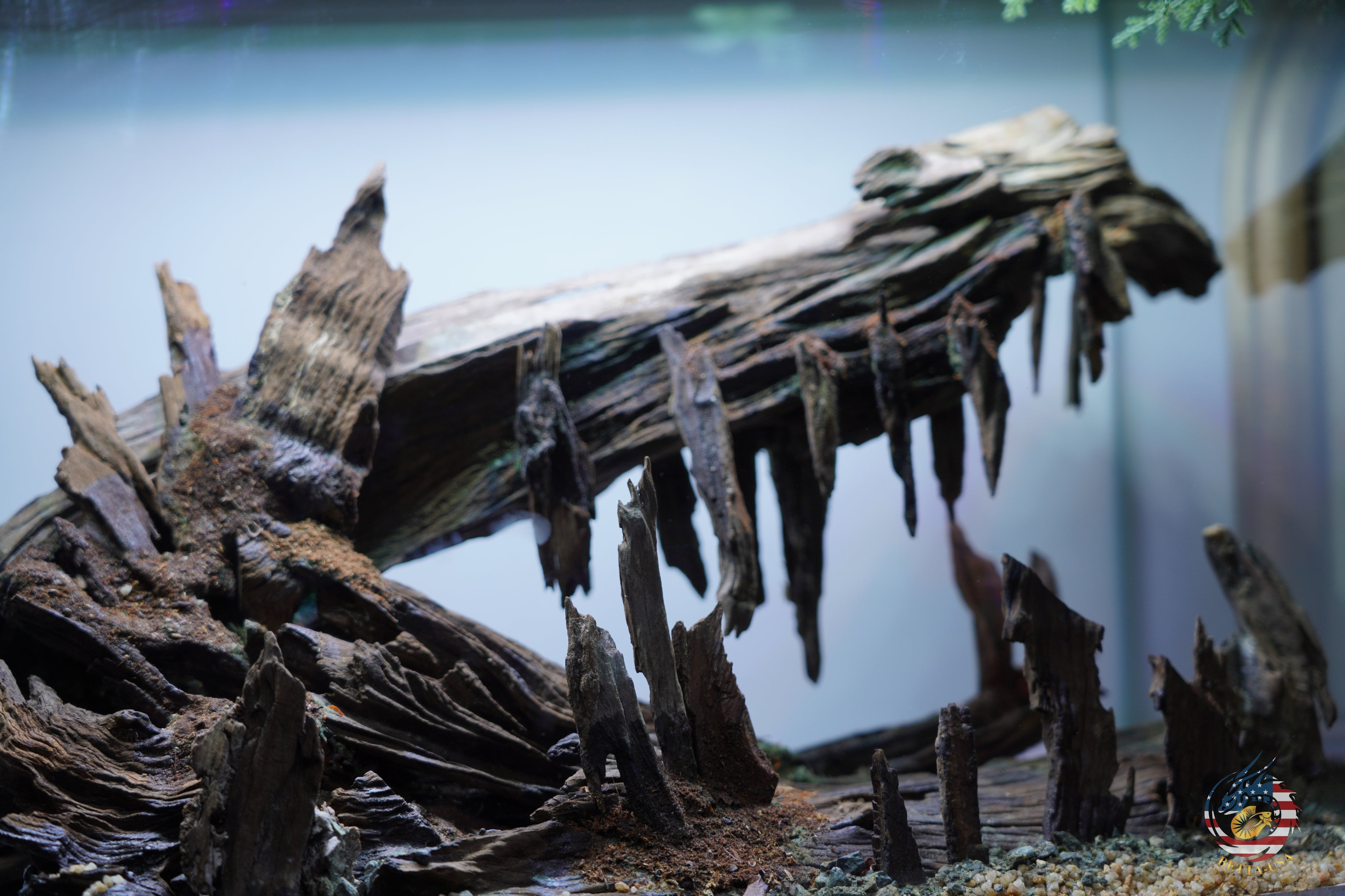 [SCAPE-101]  Nature Aquarium Aquascape Driftwood– 9.3 Gallons