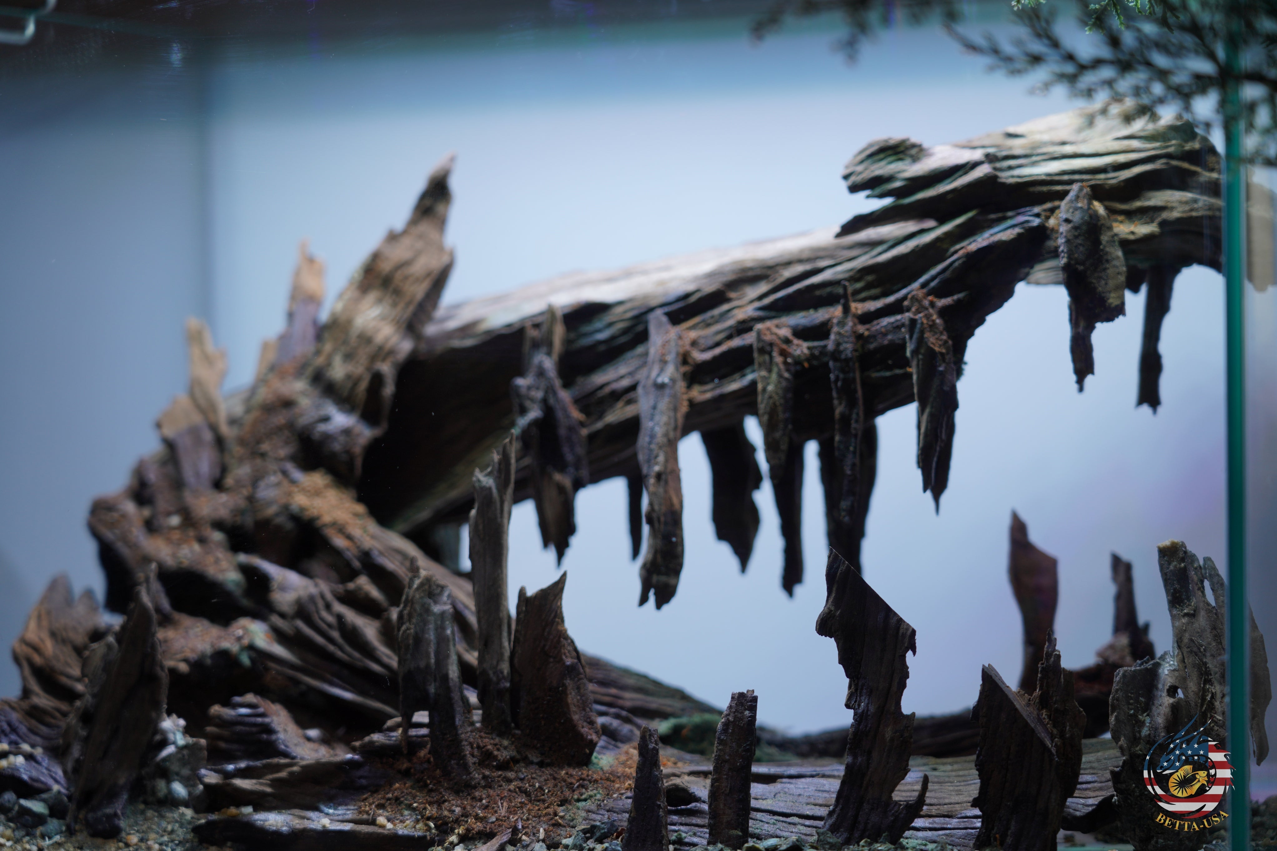 [SCAPE-101]  Nature Aquarium Aquascape Driftwood– 9.3 Gallons