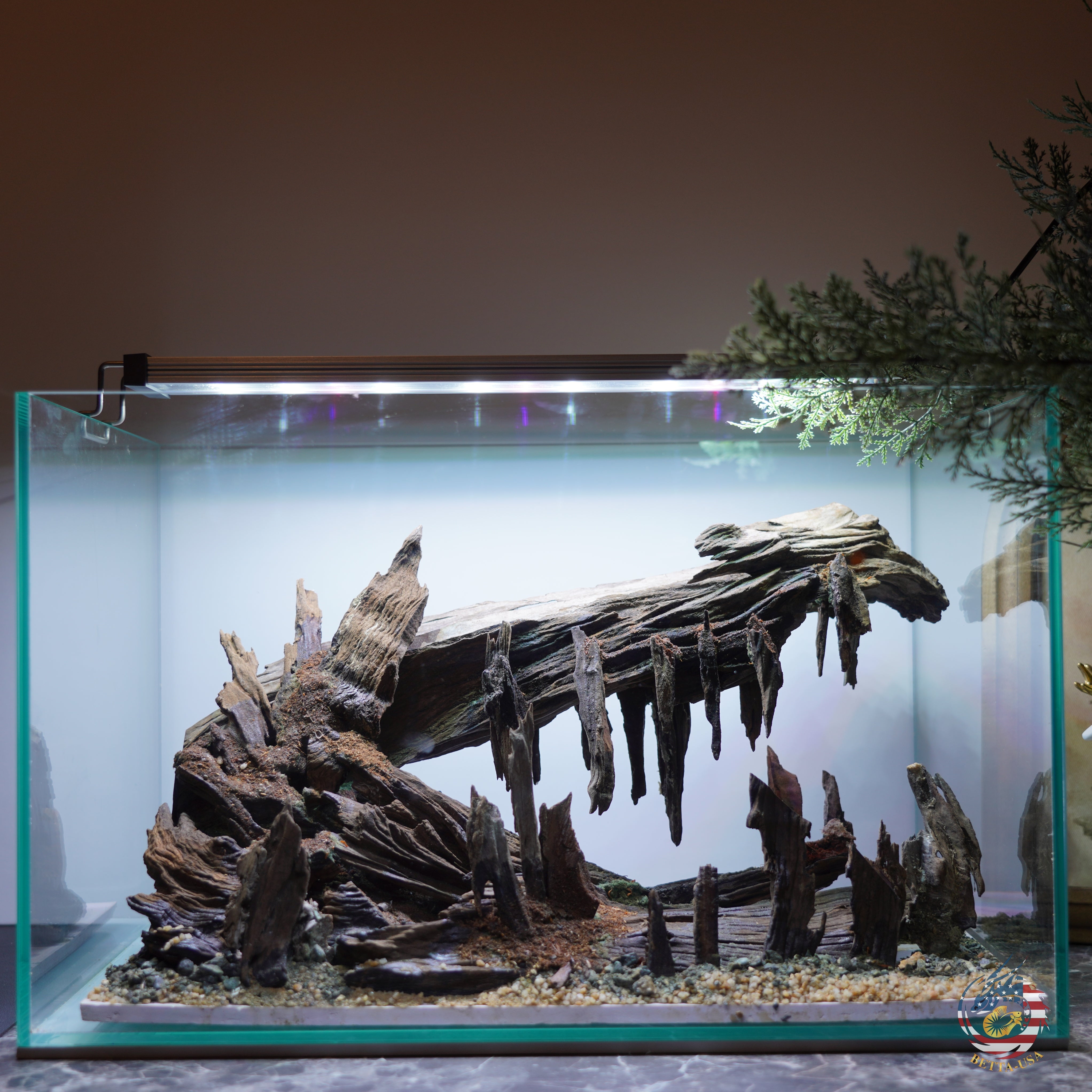 [SCAPE-101]  Nature Aquarium Aquascape Driftwood– 9.3 Gallons