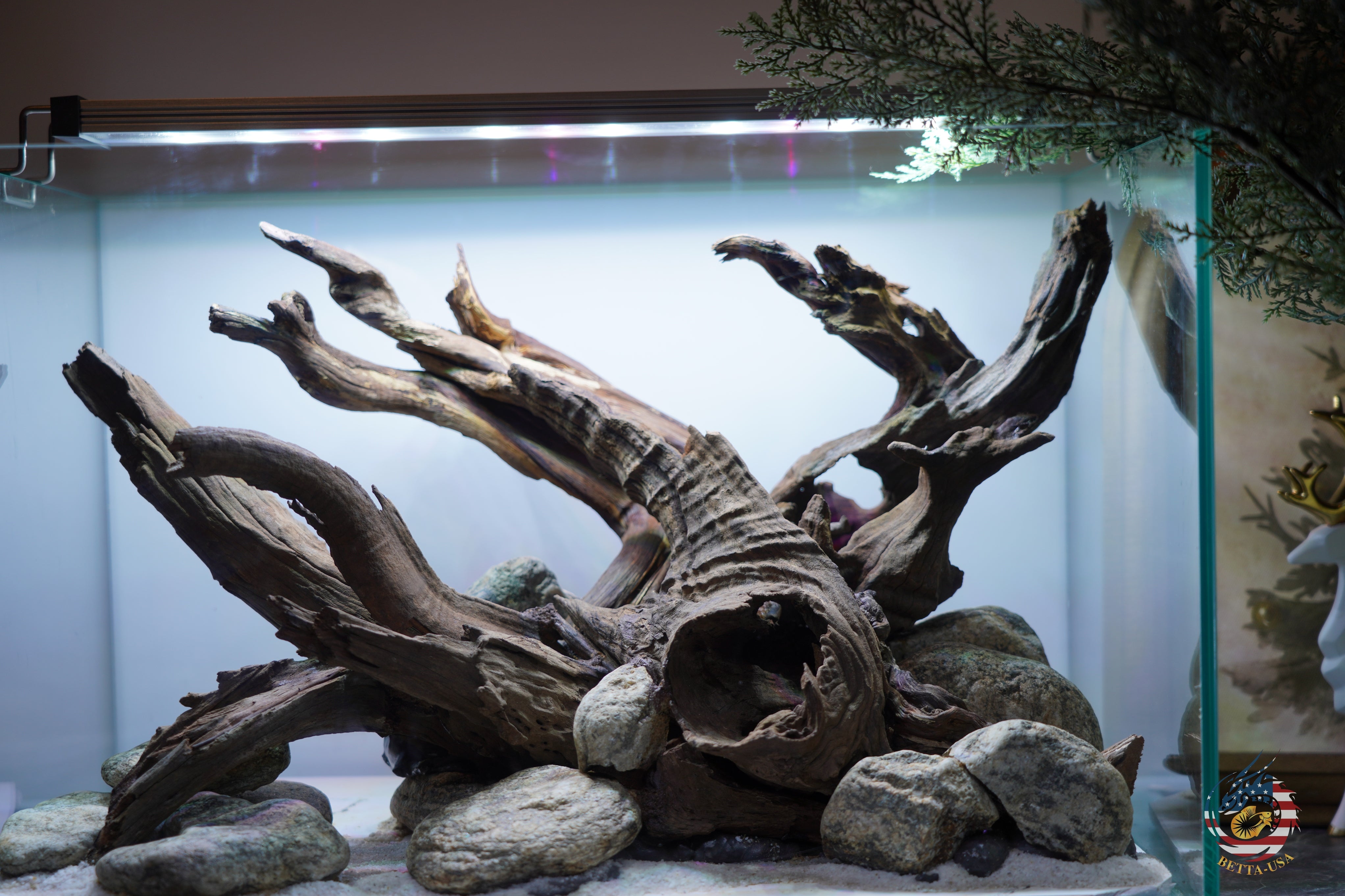 [SCAPE-102]  Nature Aquarium Aquascape Driftwood– 9.3 Gallons