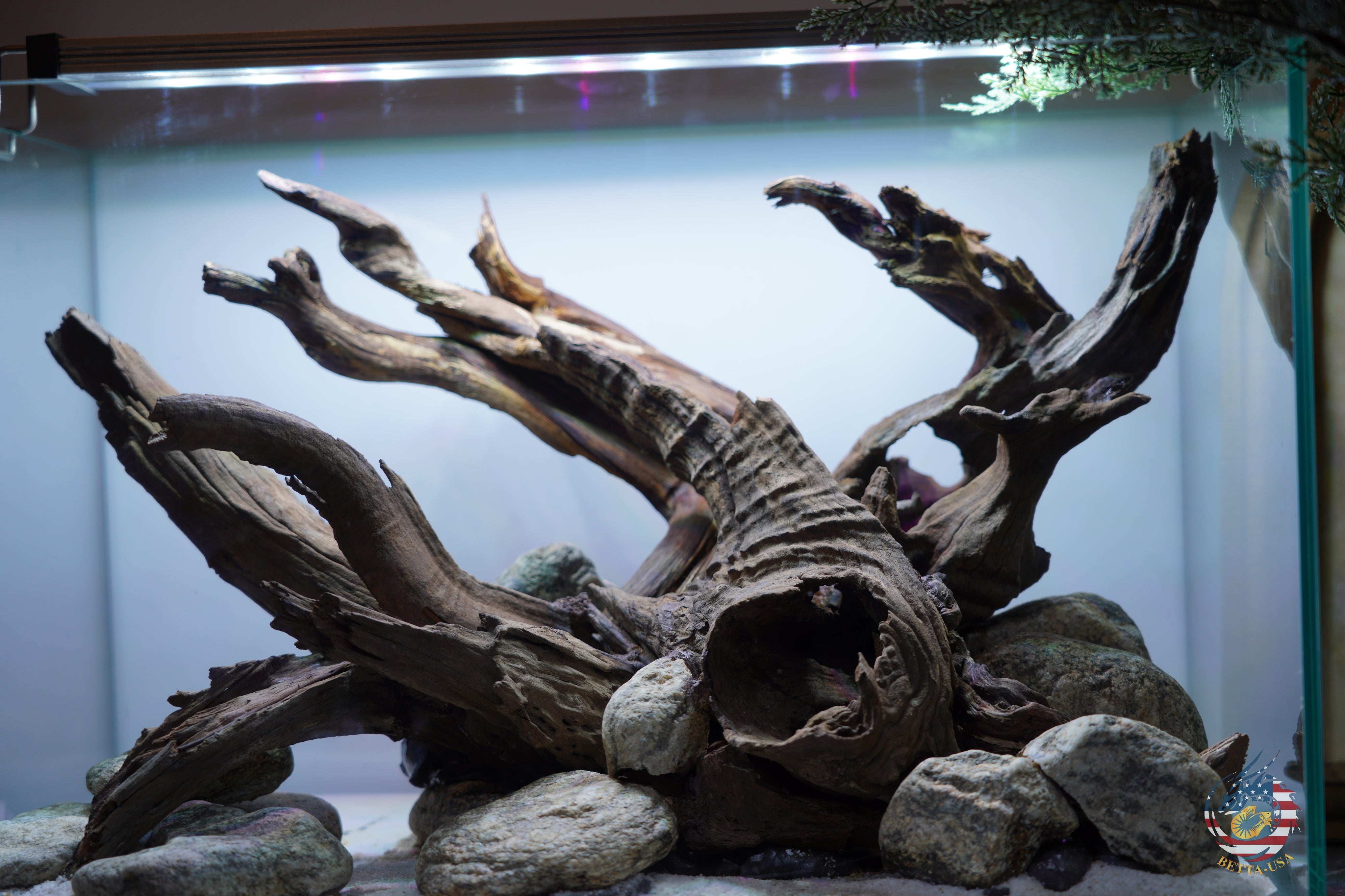 [SCAPE-102]  Nature Aquarium Aquascape Driftwood– 9.3 Gallons