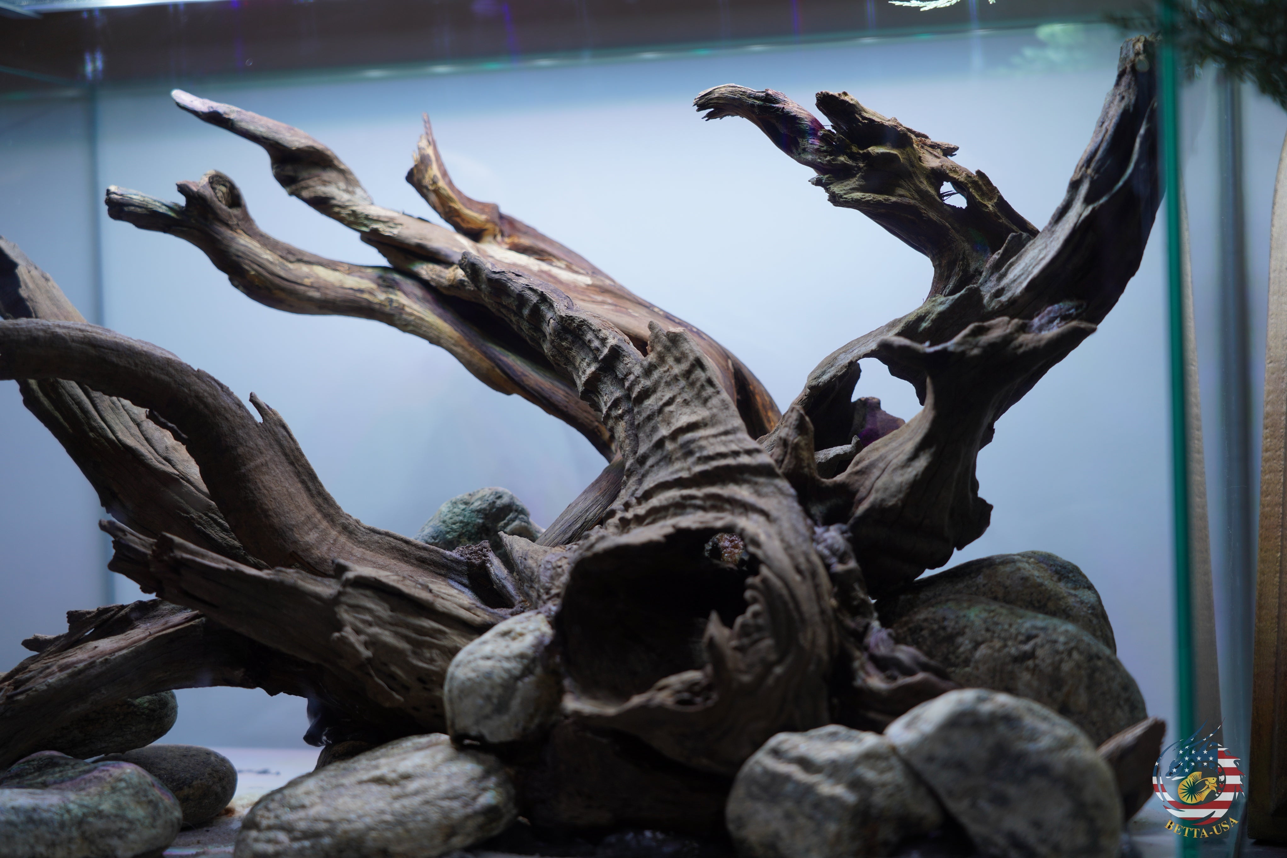 [SCAPE-102]  Nature Aquarium Aquascape Driftwood– 9.3 Gallons
