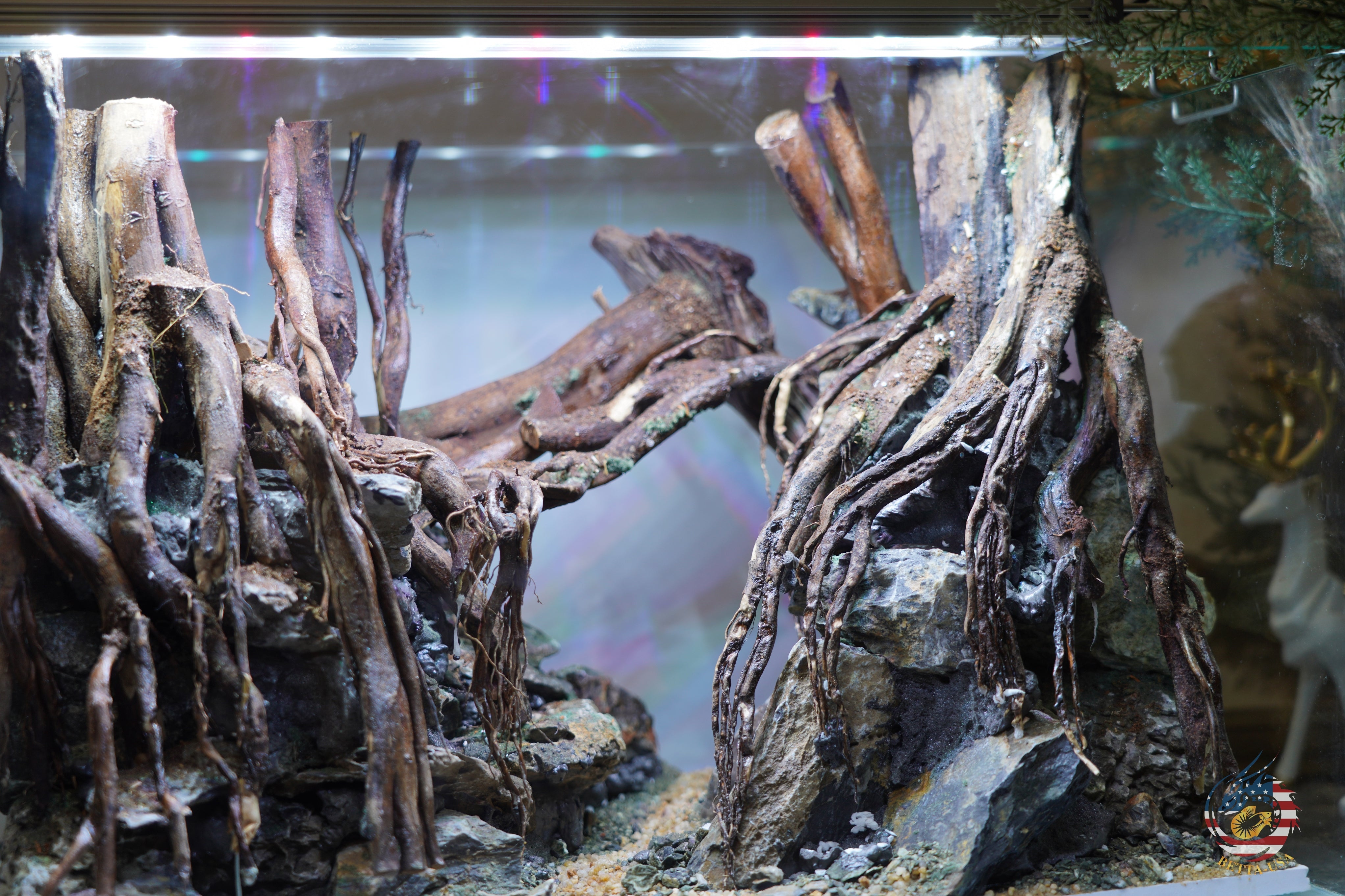 [SCAPE-103]  Nature Aquarium Aquascape Driftwood– 9.3 Gallons