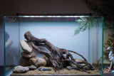 [SCAPE-104]  Nature Aquarium Aquascape Driftwood– 9.3 Gallons