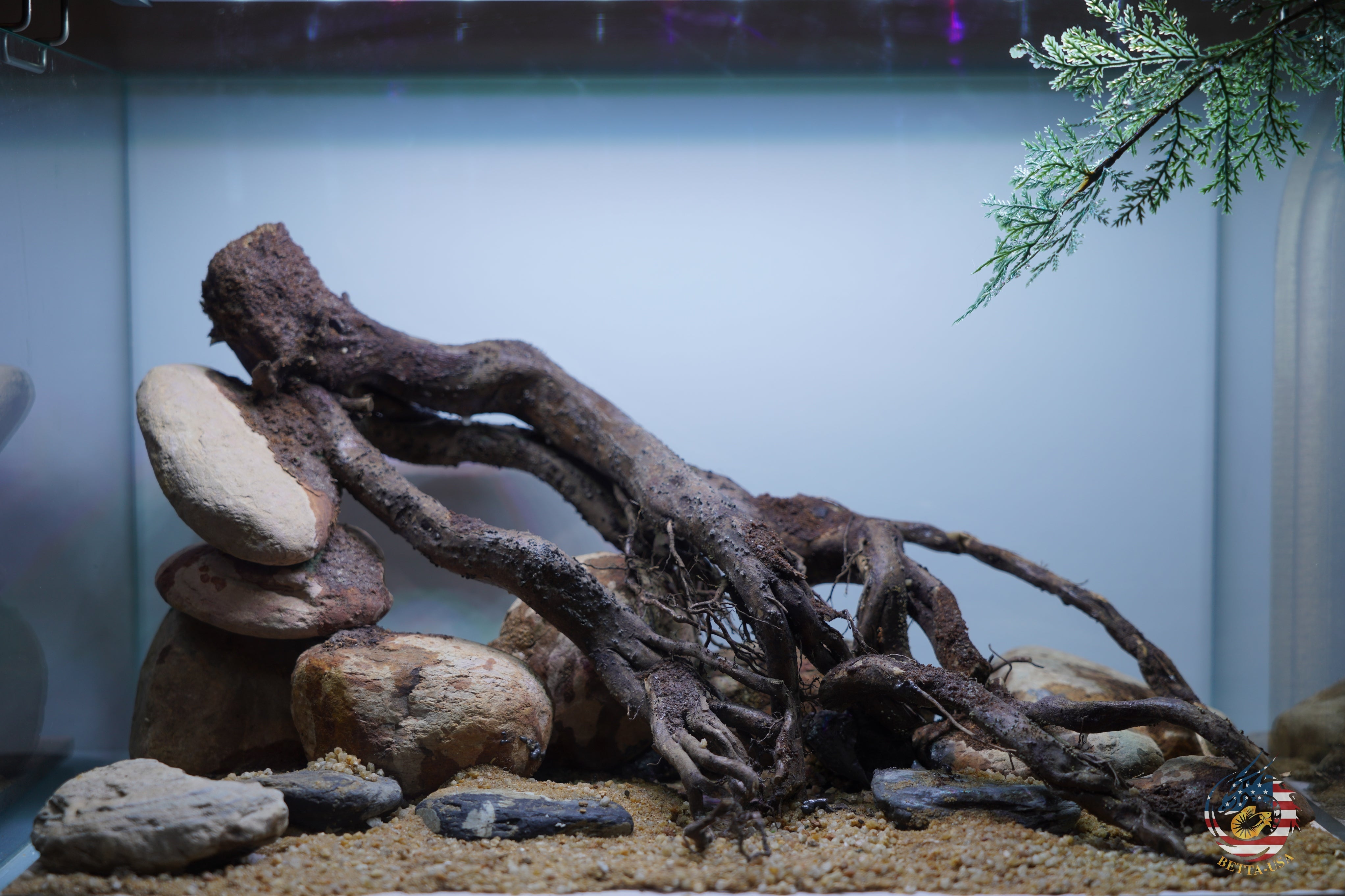 [SCAPE-104]  Nature Aquarium Aquascape Driftwood– 9.3 Gallons