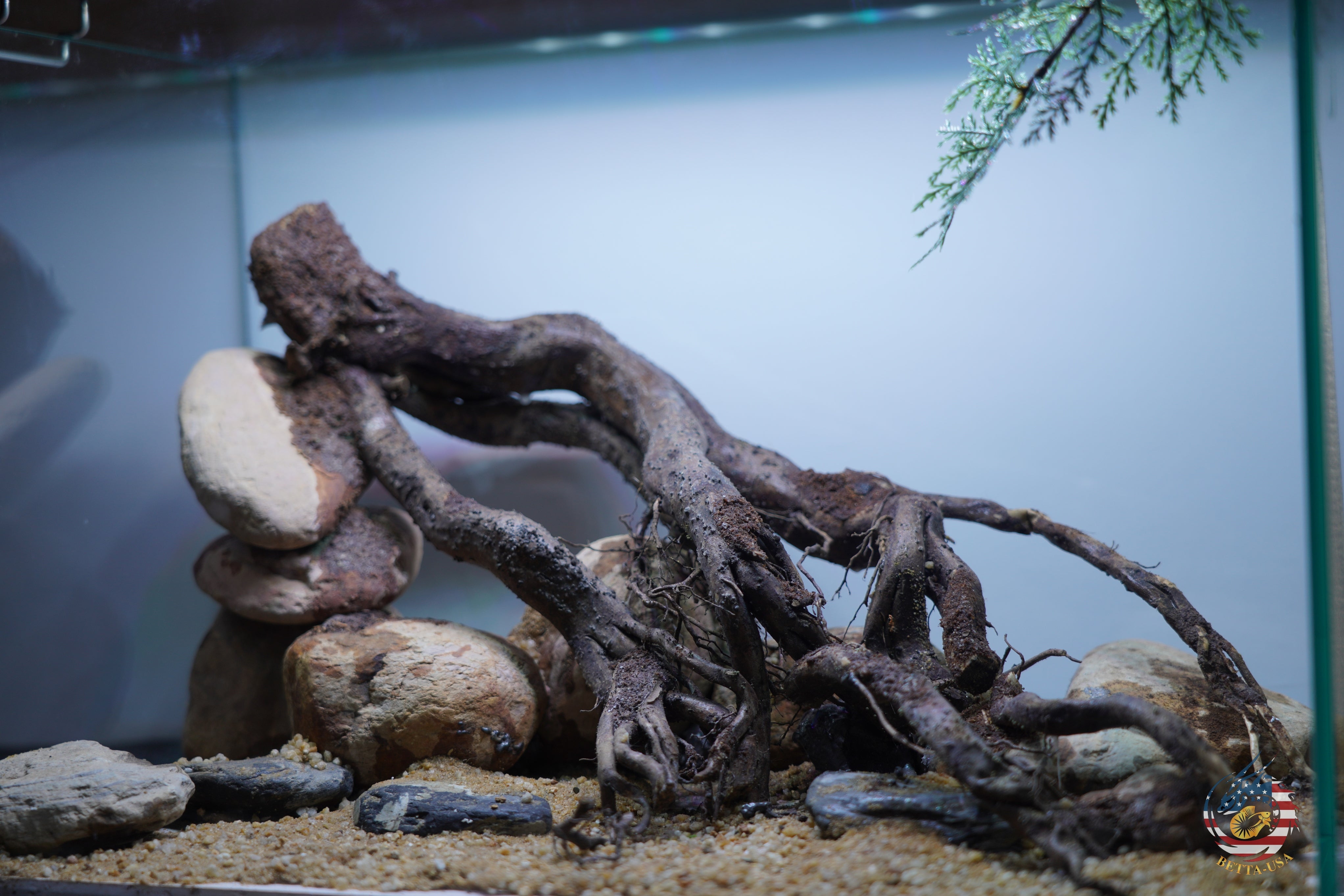 [SCAPE-104]  Nature Aquarium Aquascape Driftwood– 9.3 Gallons
