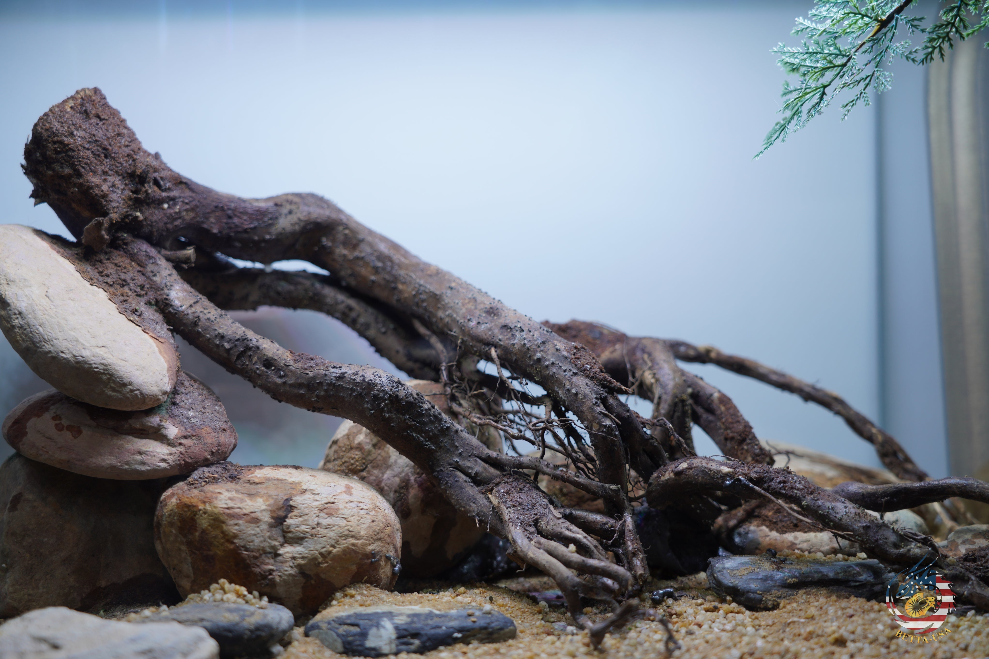 [SCAPE-104]  Nature Aquarium Aquascape Driftwood– 9.3 Gallons