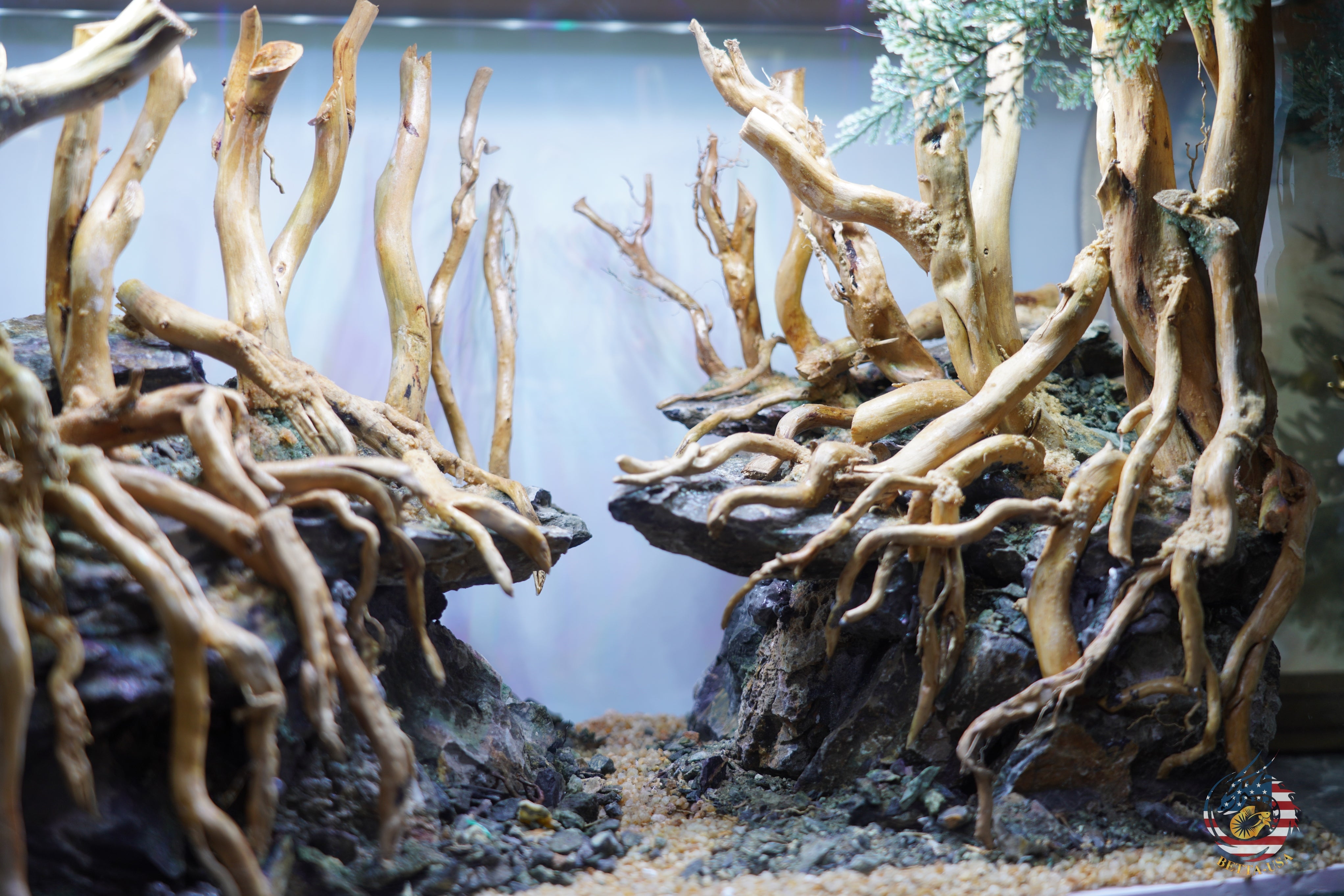 [SCAPE-105]  Nature Aquarium Aquascape Driftwood– 9.3 Gallons