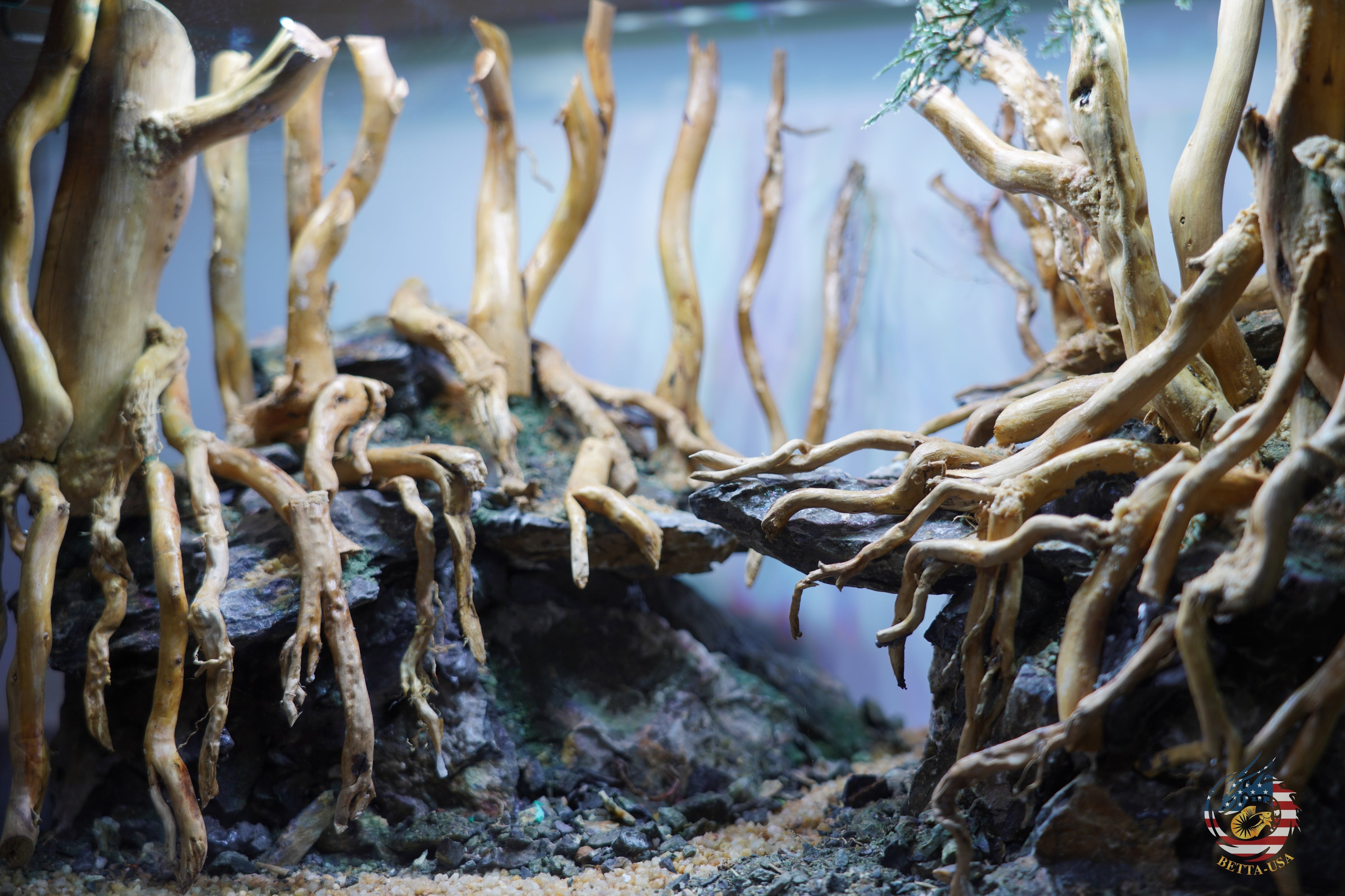 [SCAPE-105]  Nature Aquarium Aquascape Driftwood– 9.3 Gallons
