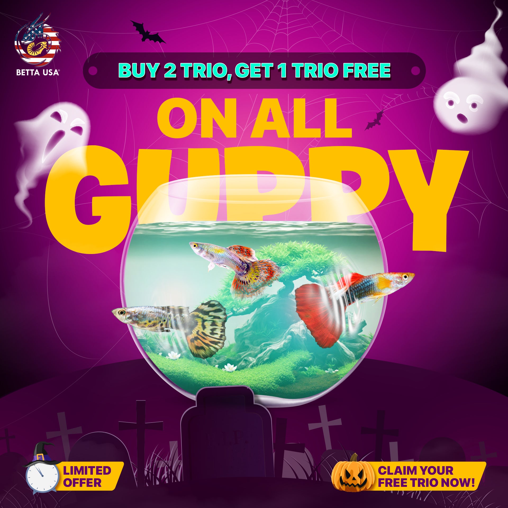 Aquarium Guppy Fish High Quality - Albino Blue Grass