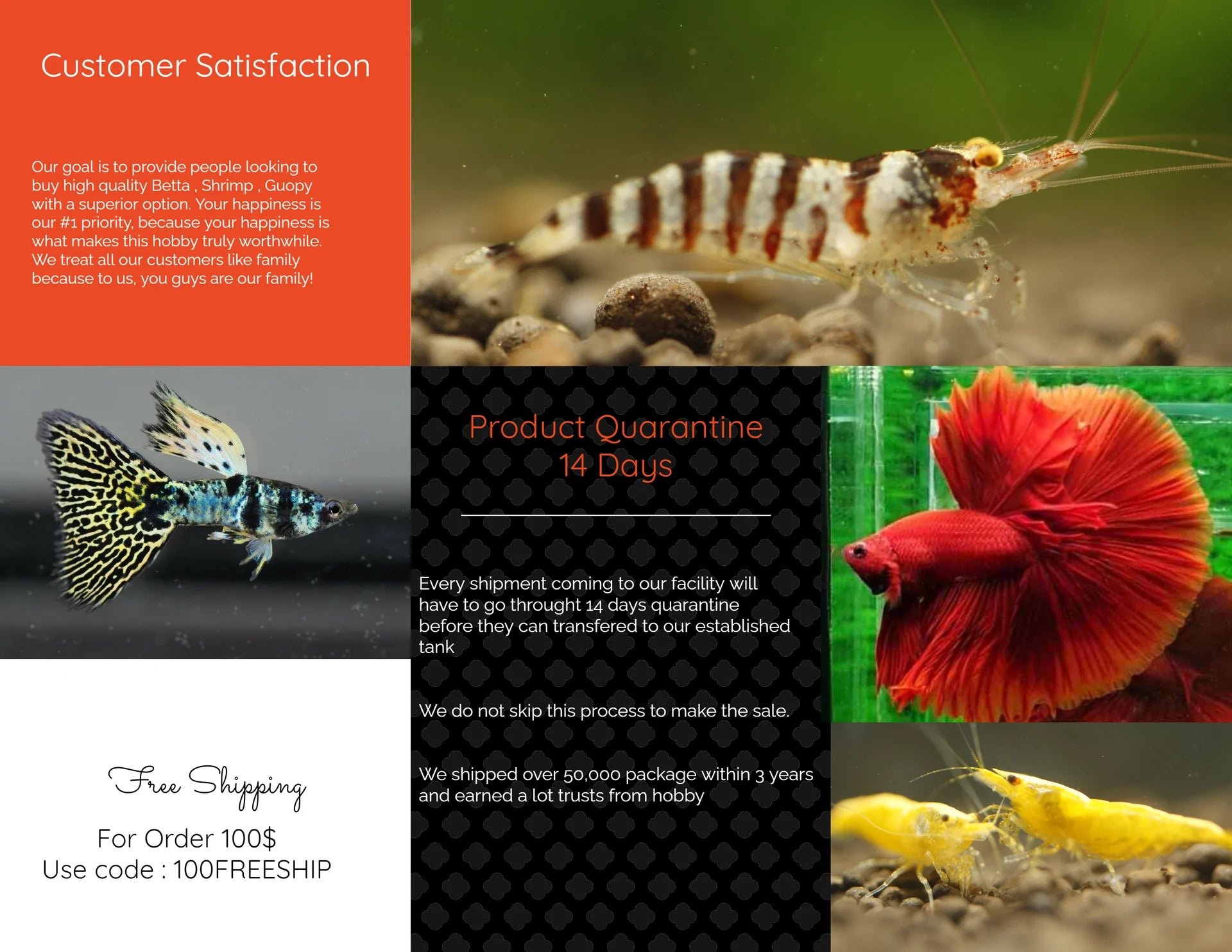Illustration of Aquatic Internet Resources For Beginners