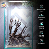 [SCAPE-05] Jungle Aquarium Decor with Driftwood - 3.1 Gallons