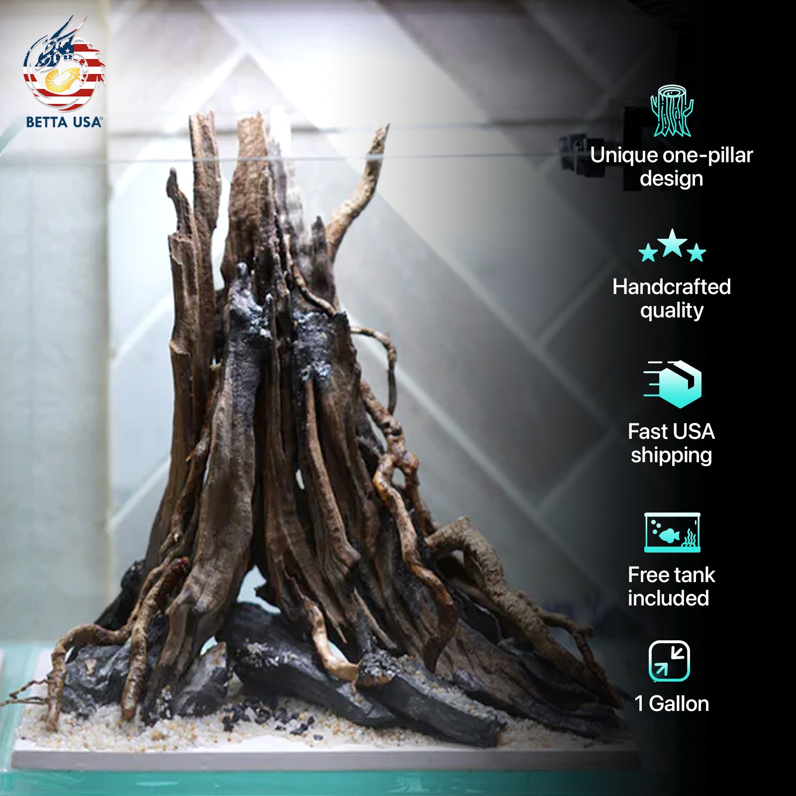 [SCAPE-06] The One-Pillar Aquascape Design – 1 Gallon