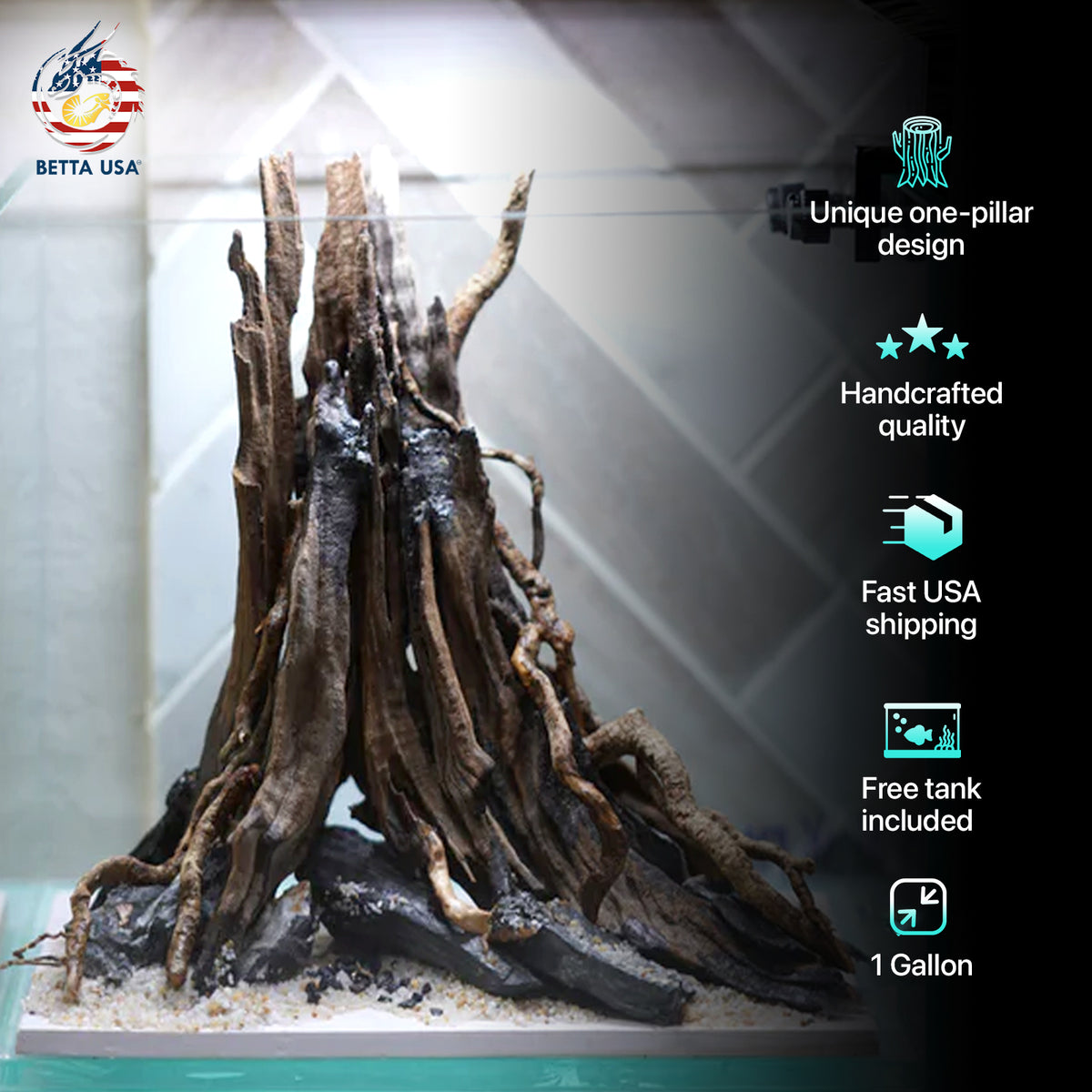[SCAPE-06] The One-Pillar Aquascape Design – 1 Gallon
