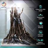 [SCAPE-06] The One-Pillar Aquascape Design – 1 Gallon