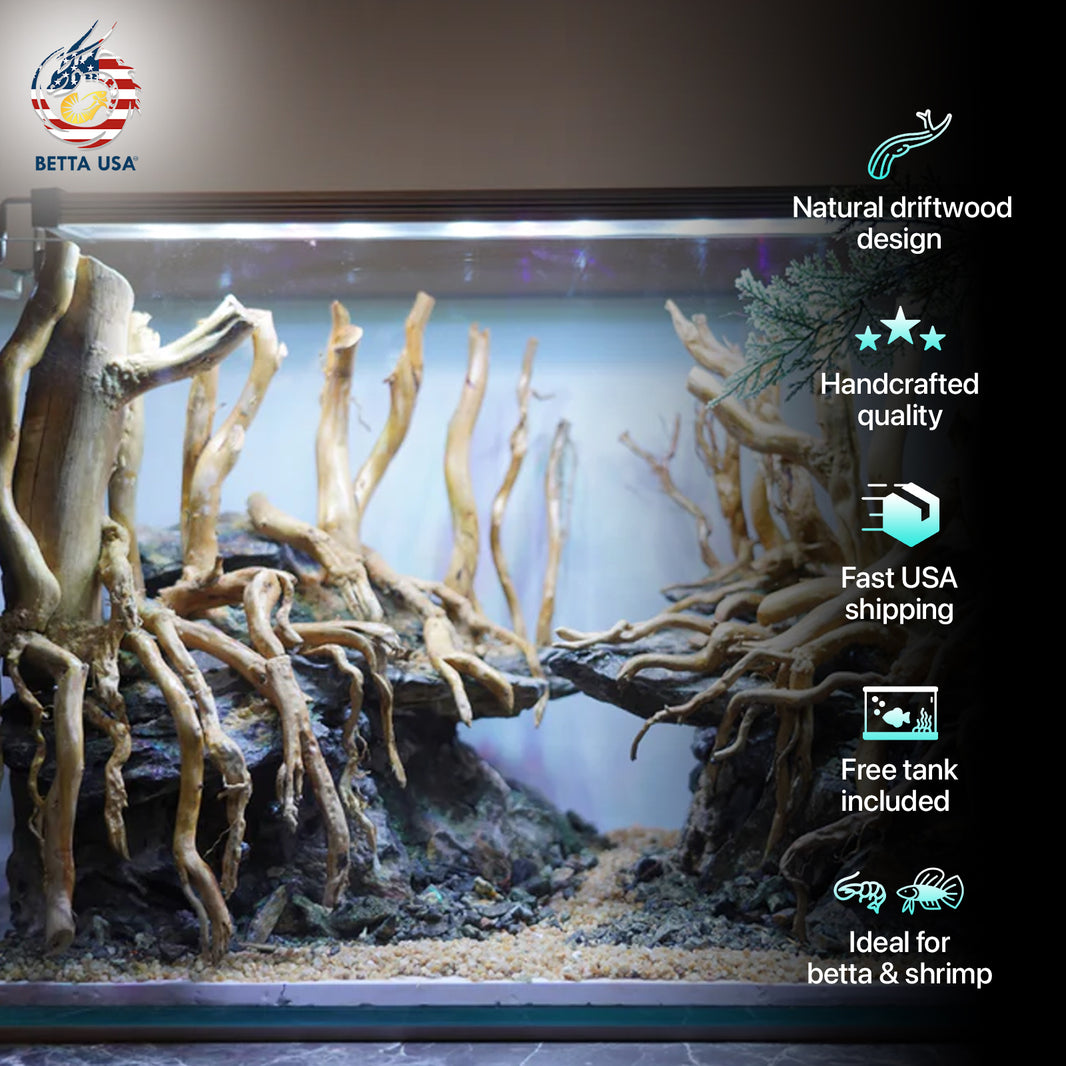 [SCAPE-07] Mountain-Inspired Aquarium Aquascape – 1 Gallon – Betta USA ...