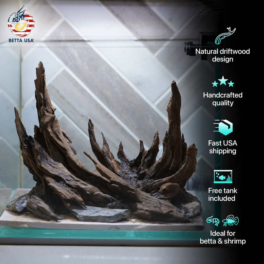 [SCAPE-10] Nature Aquarium Aquascape Driftwood – 1 Gallon - Betta USA Aquatic