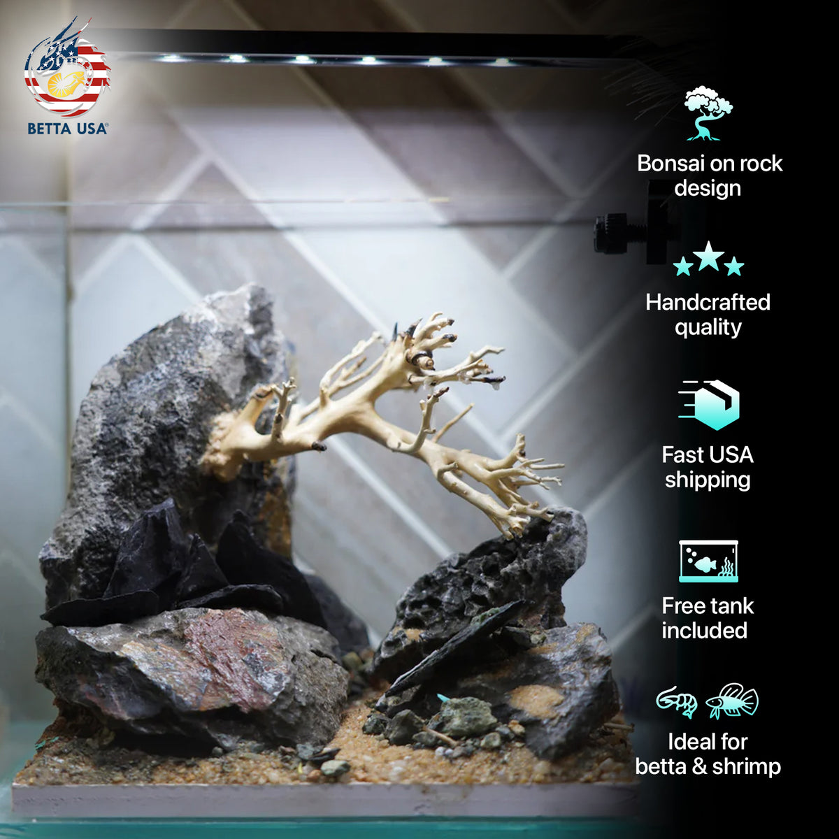 [SCAPE-11] Bonsai on Rock Aquascape Aquarium  – 1 Gallon - Betta USA Aquatic