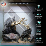 [SCAPE-11] Bonsai on Rock Aquascape Aquarium  – 1 Gallon - Betta USA Aquatic