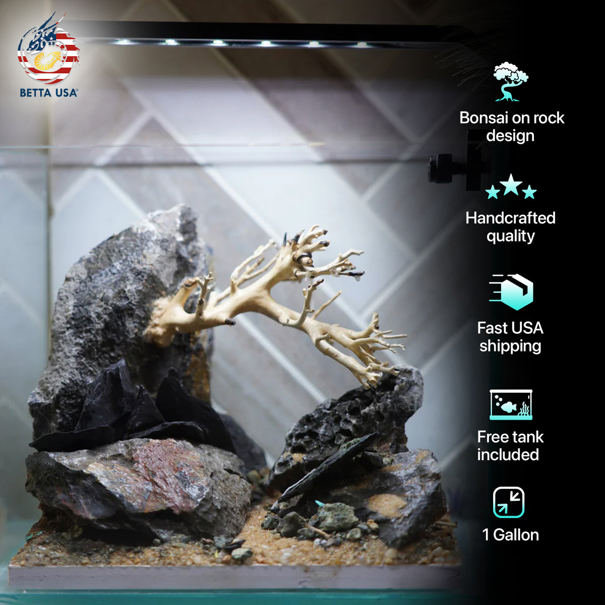 [SCAPE-11] Bonsai on Rock Aquascape Aquarium  – 1 Gallon