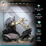 [SCAPE-11] Bonsai on Rock Aquascape Aquarium  – 1 Gallon