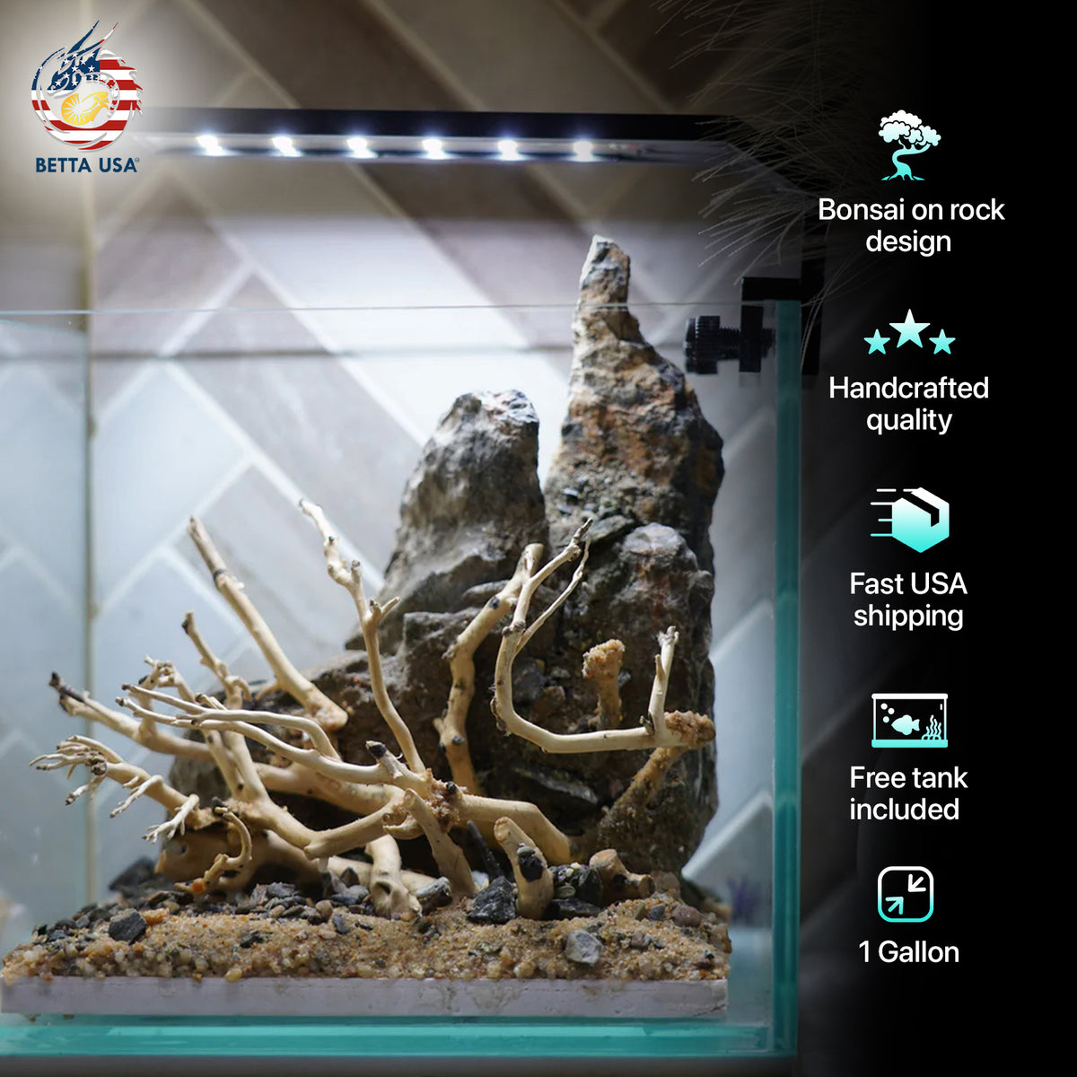 [SCAPE-12] Bonsai on Rock Aquascape Aquarium  – 1 Gallon