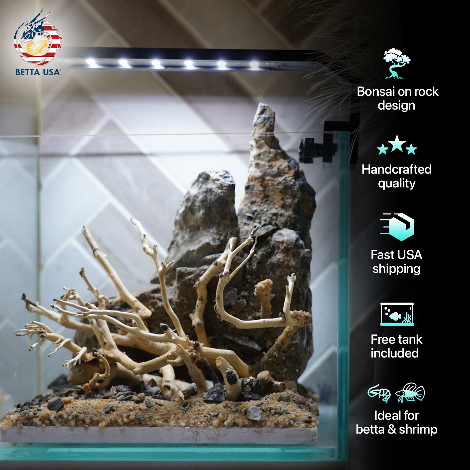 [SCAPE-12] Bonsai on Rock Aquascape Aquarium  – 1 Gallon - Betta USA Aquatic