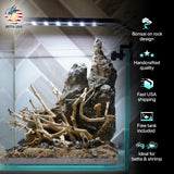 [SCAPE-12] Bonsai on Rock Aquascape Aquarium  – 1 Gallon - Betta USA Aquatic