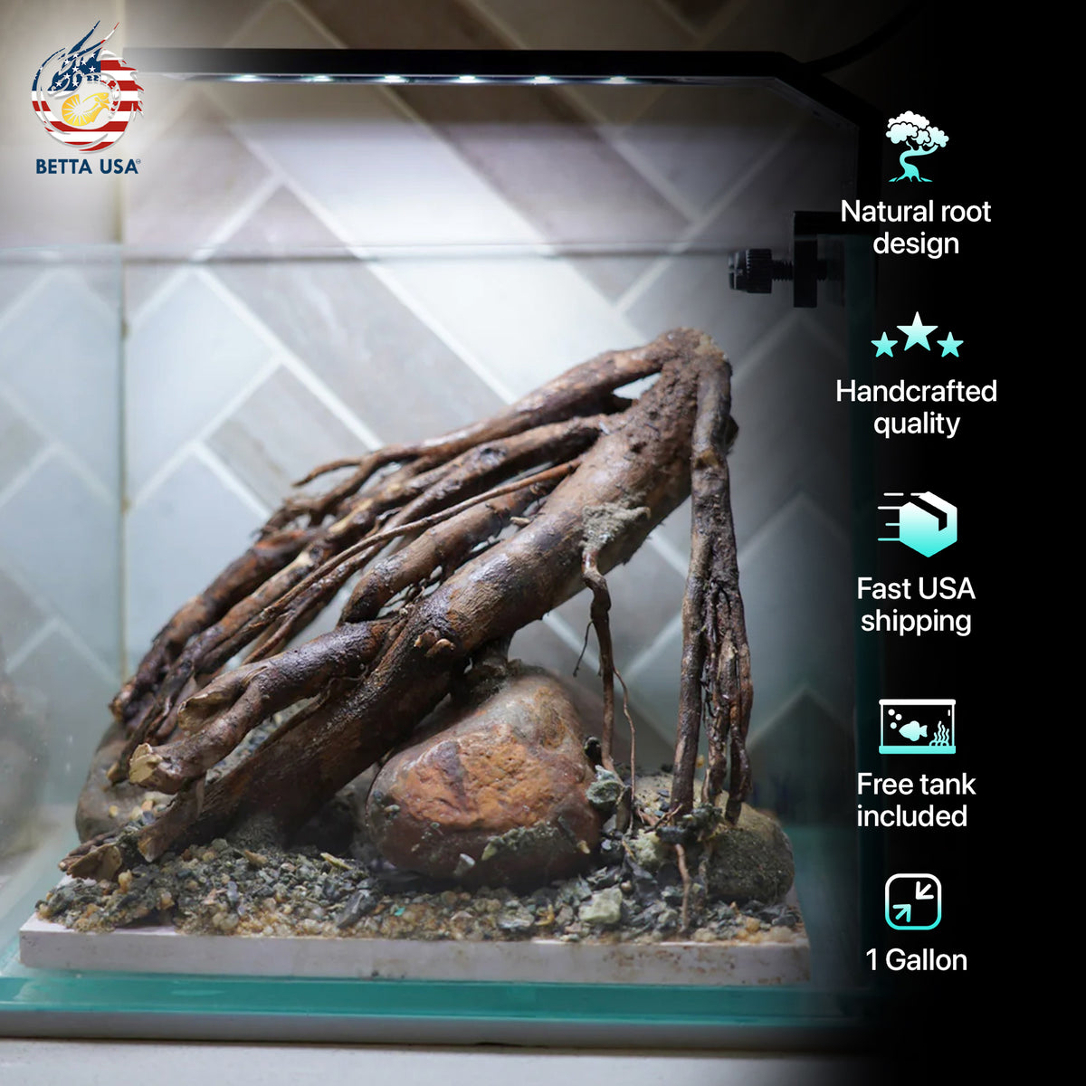[SCAPE-13] Driftwood Root Aquascape on River Rock – 1 Gallon