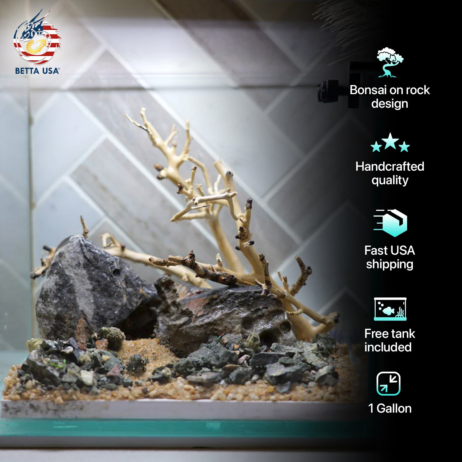 [SCAPE-17] Bonsai on Rock Aquascape Aquarium  – 1 Gallon