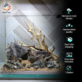 [SCAPE-17] Bonsai on Rock Aquascape Aquarium  – 1 Gallon