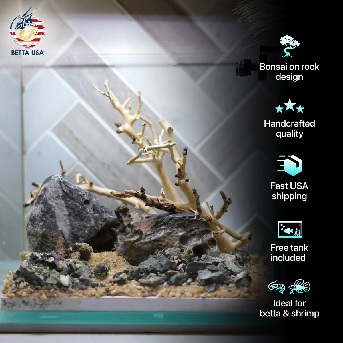 [SCAPE-17] Bonsai on Rock Aquascape Aquarium  – 1 Gallon - Betta USA Aquatic