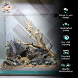 [SCAPE-17] Bonsai on Rock Aquascape Aquarium  – 1 Gallon - Betta USA Aquatic