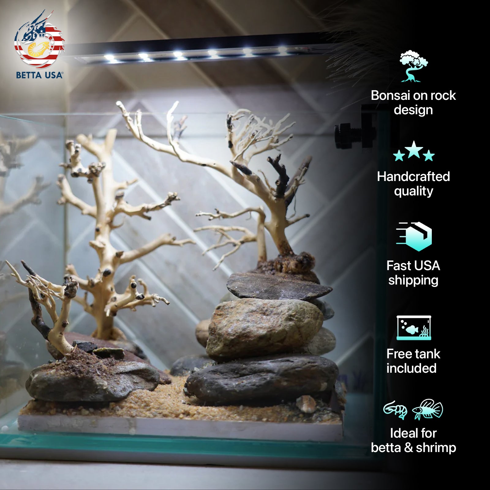 [SCAPE-18] Bonsai on Rock Aquascape Aquarium  – 1 Gallon - Betta USA Aquatic