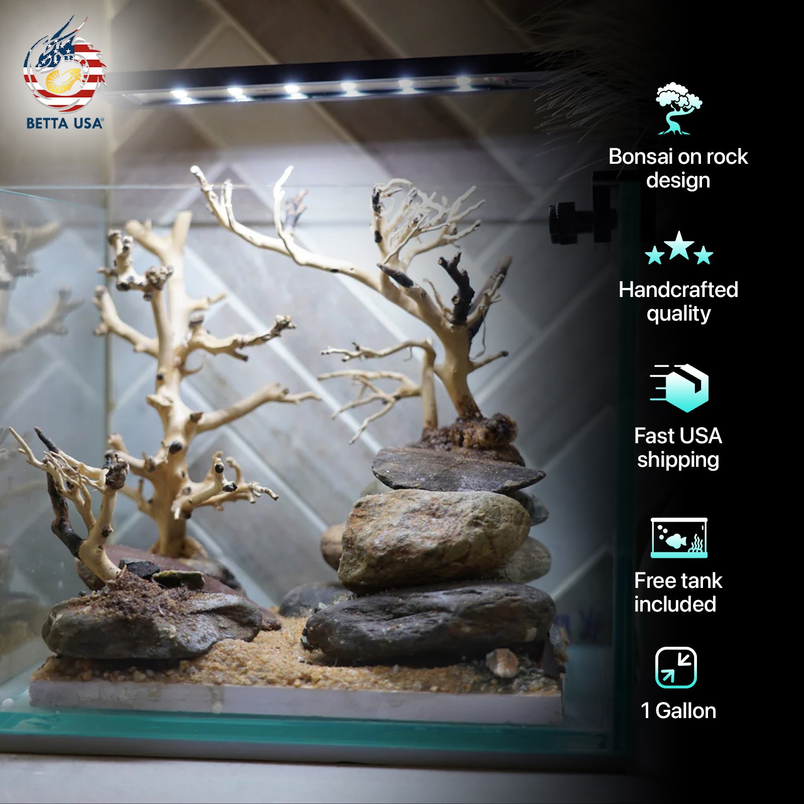 [SCAPE-18] Bonsai on Rock Aquascape Aquarium  – 1 Gallon
